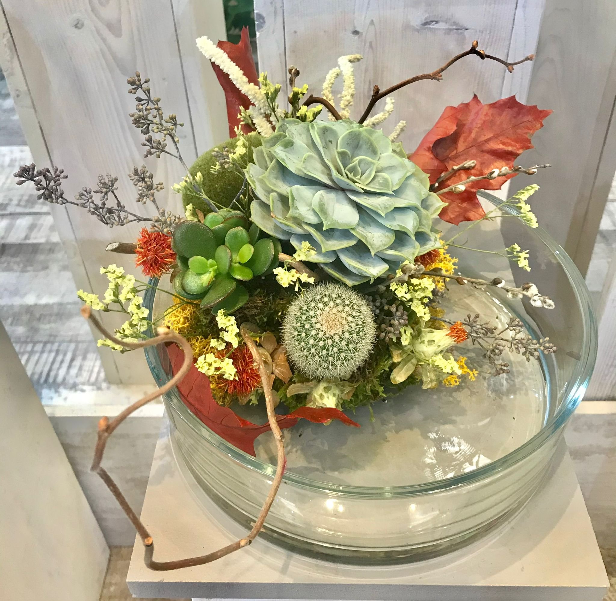 WhatsApp Image 2026-03-03 at 13.10.47 (2).jpeg