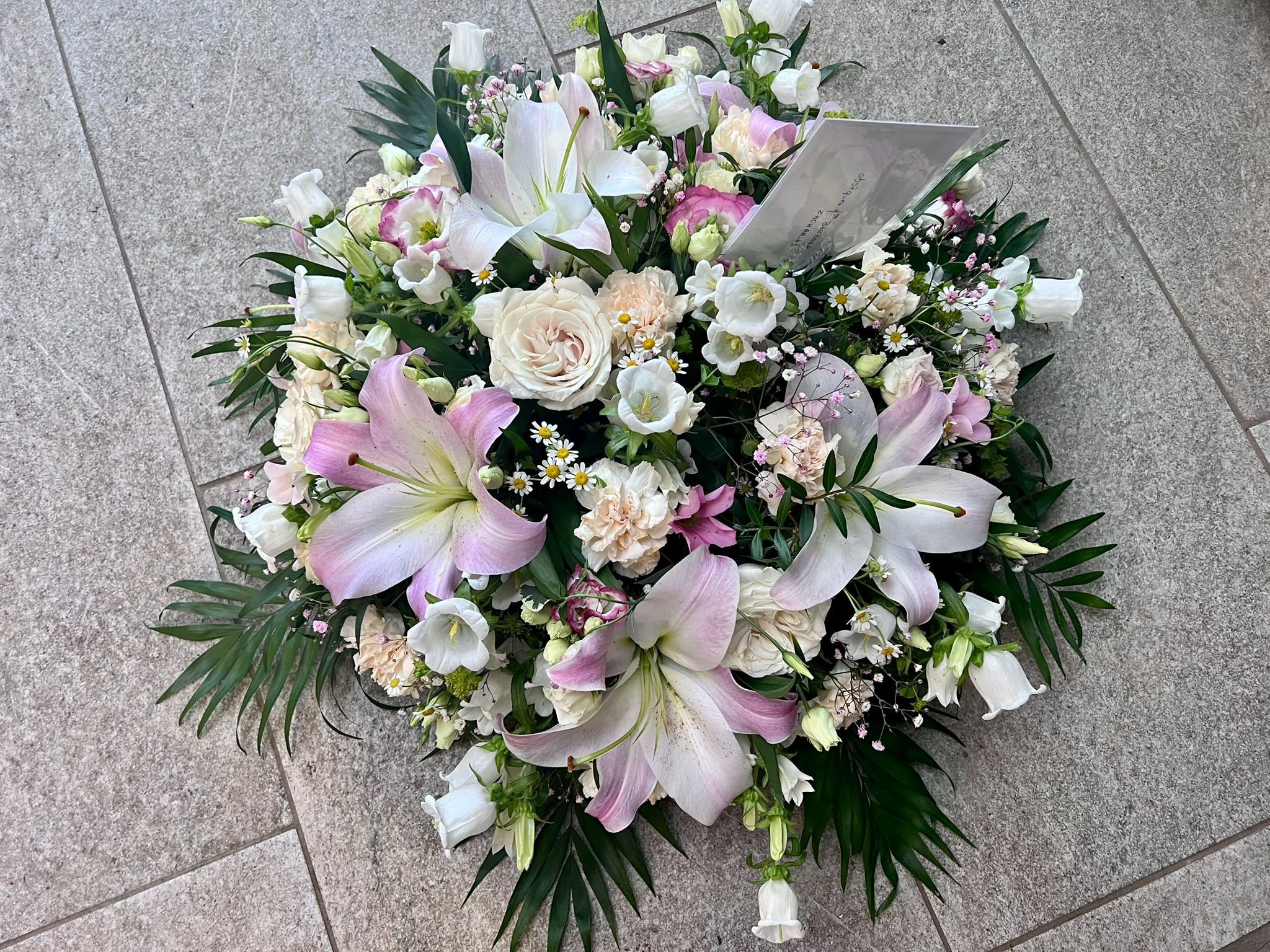 WhatsApp Image 2026-03-03 at 13.05.47.jpeg