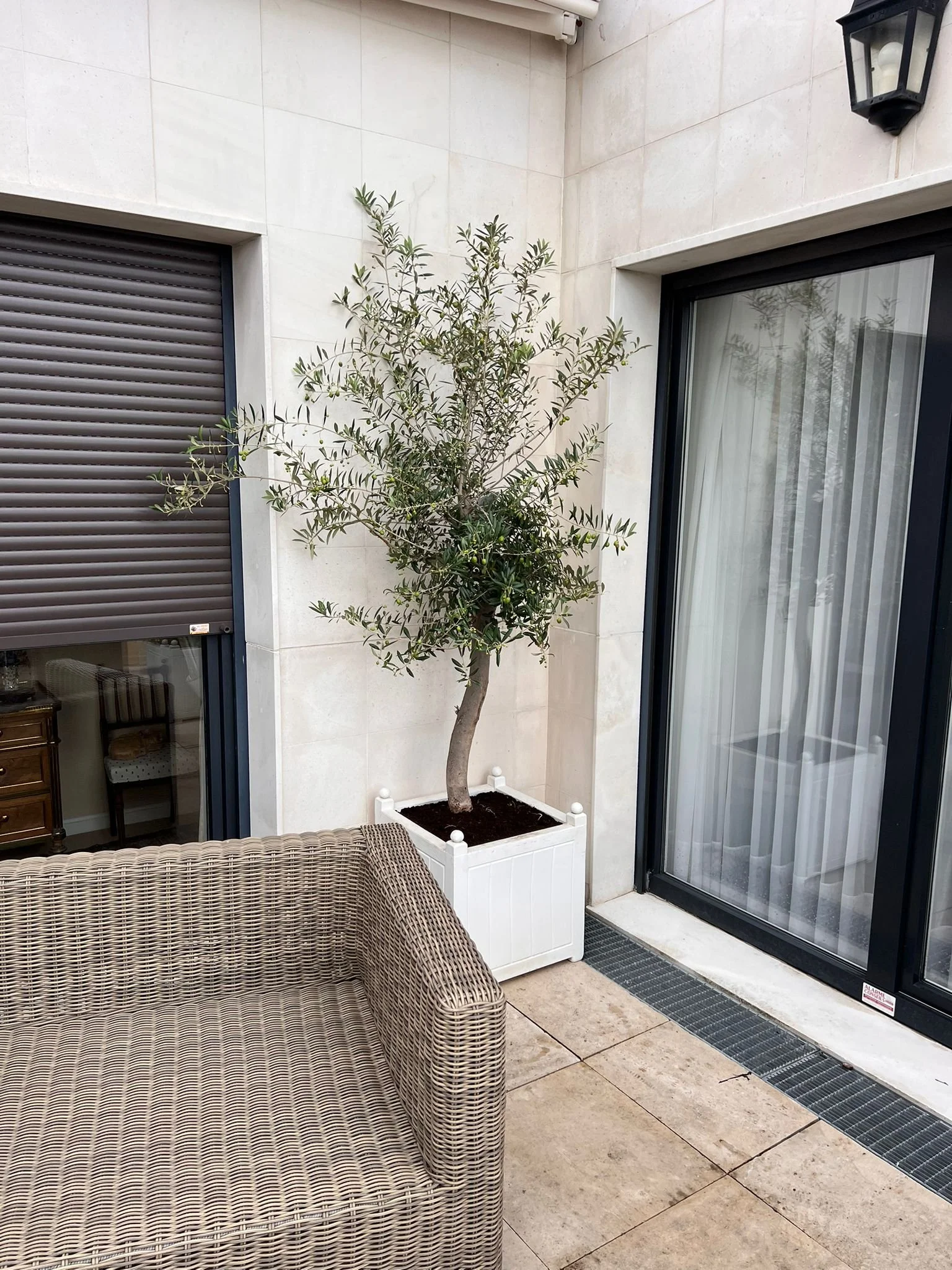 WhatsApp Image 2026-03-03 at 13.07.50 (1).jpeg