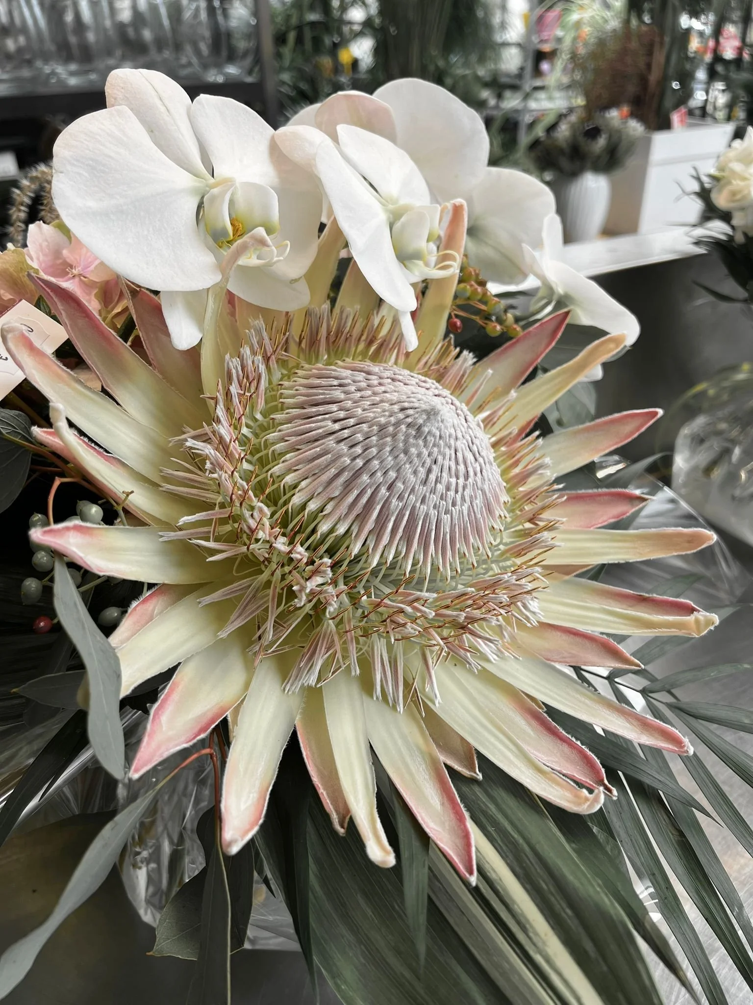 WhatsApp Image 2026-03-03 at 13.09.59 (2).jpeg