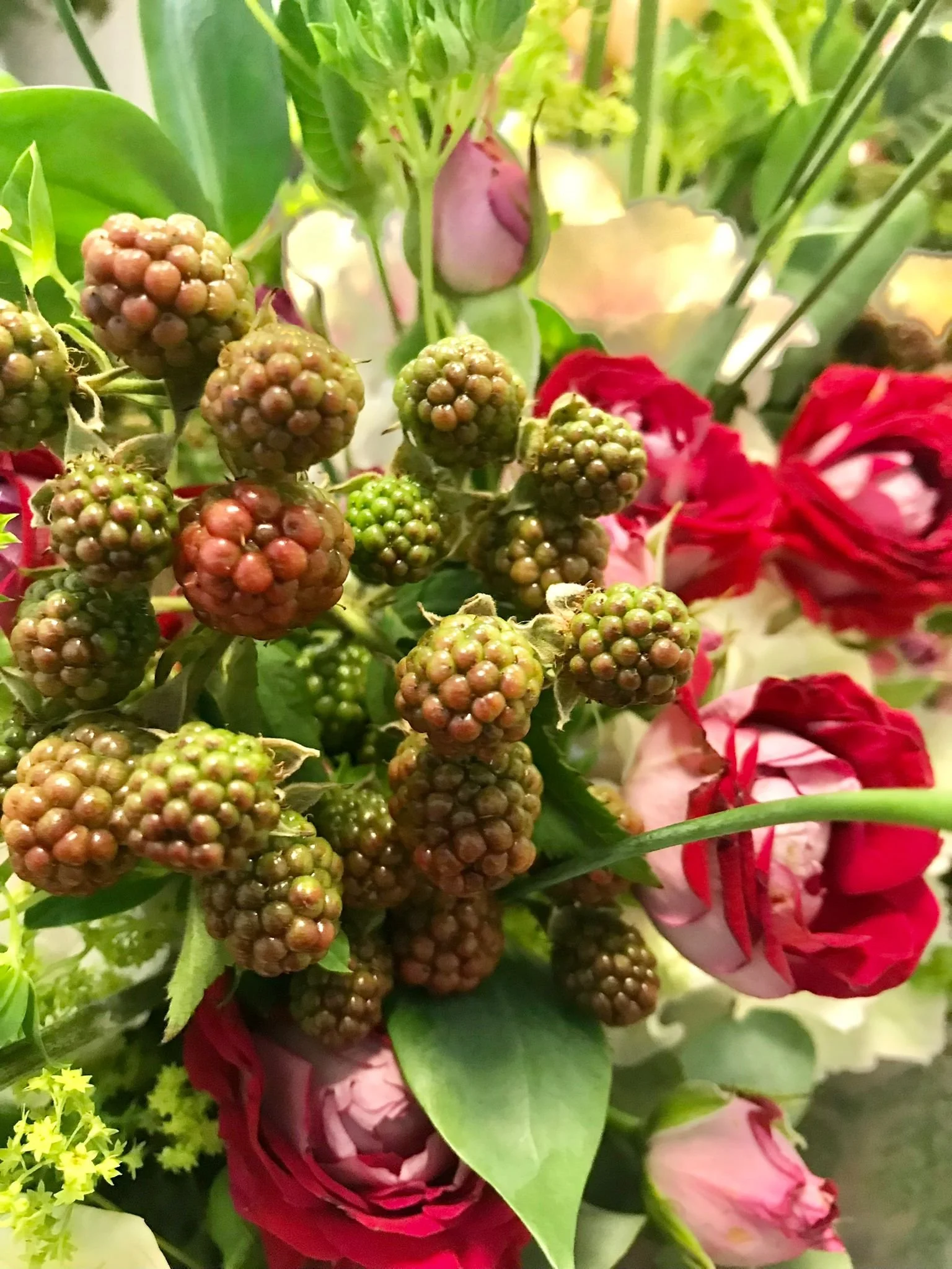 WhatsApp Image 2026-03-03 at 13.10.46.jpeg