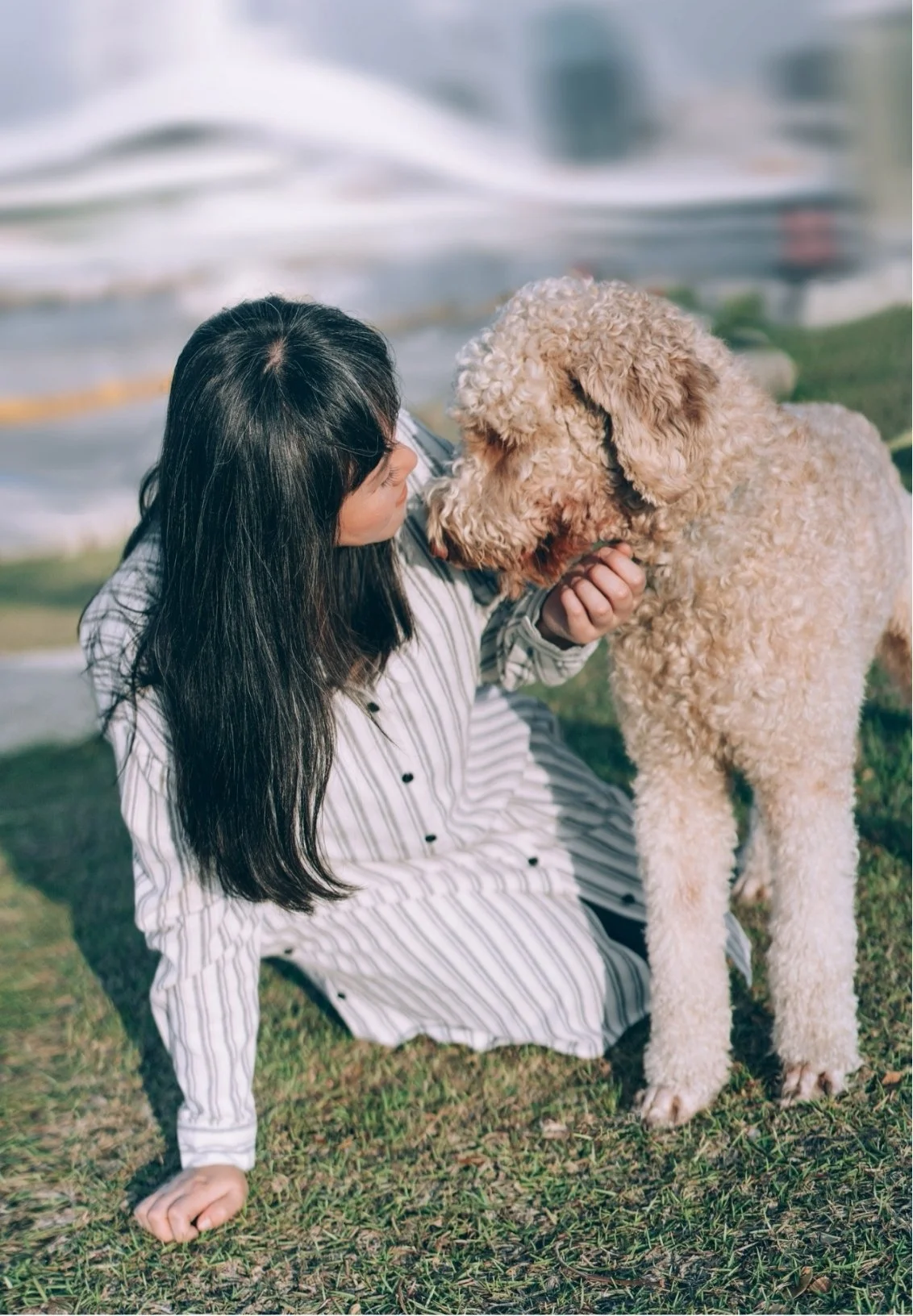 A woman with long dark hair sitting on grass, looking at a large curly-haired dog, outdoors near a body of water.