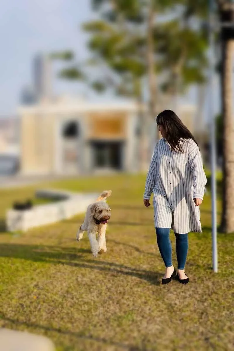 A woman walking with her dog in an outdoor park area, with trees and modern buildings in the background.