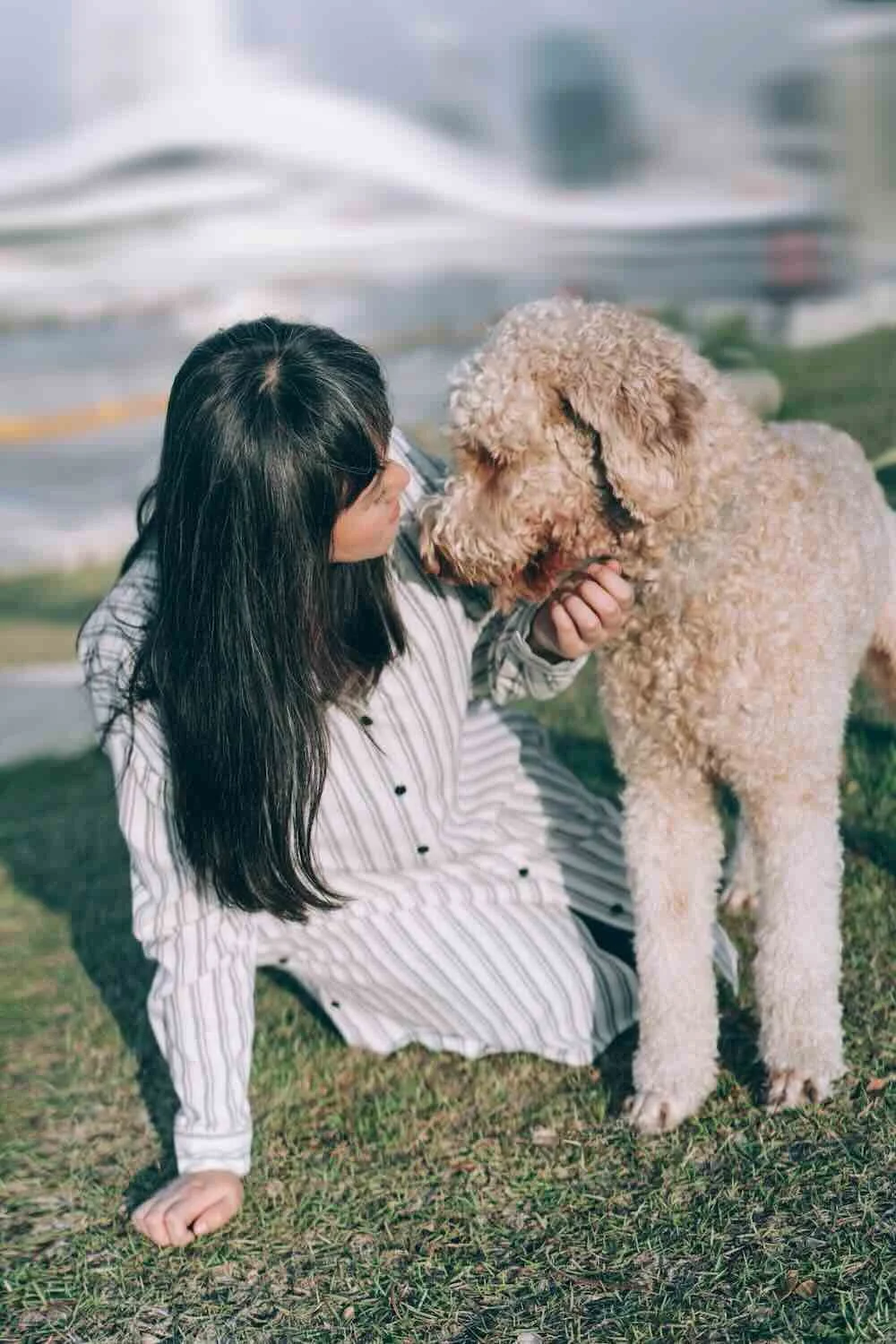 Licensed marriage and family therapist FuFan Chiang connecting with her dog outdoors, capturing the warm, grounded, and approachable essence of her online private practice.