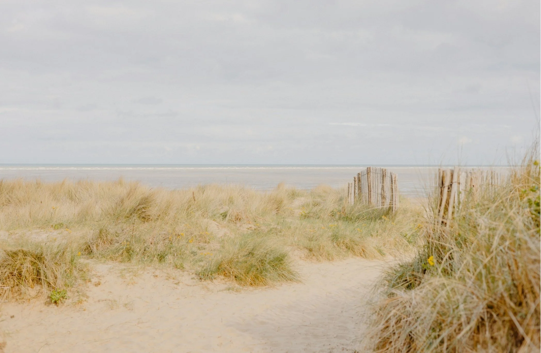 Beach scene with sandy path through tall grass leading to the ocean under a cloudy sky.