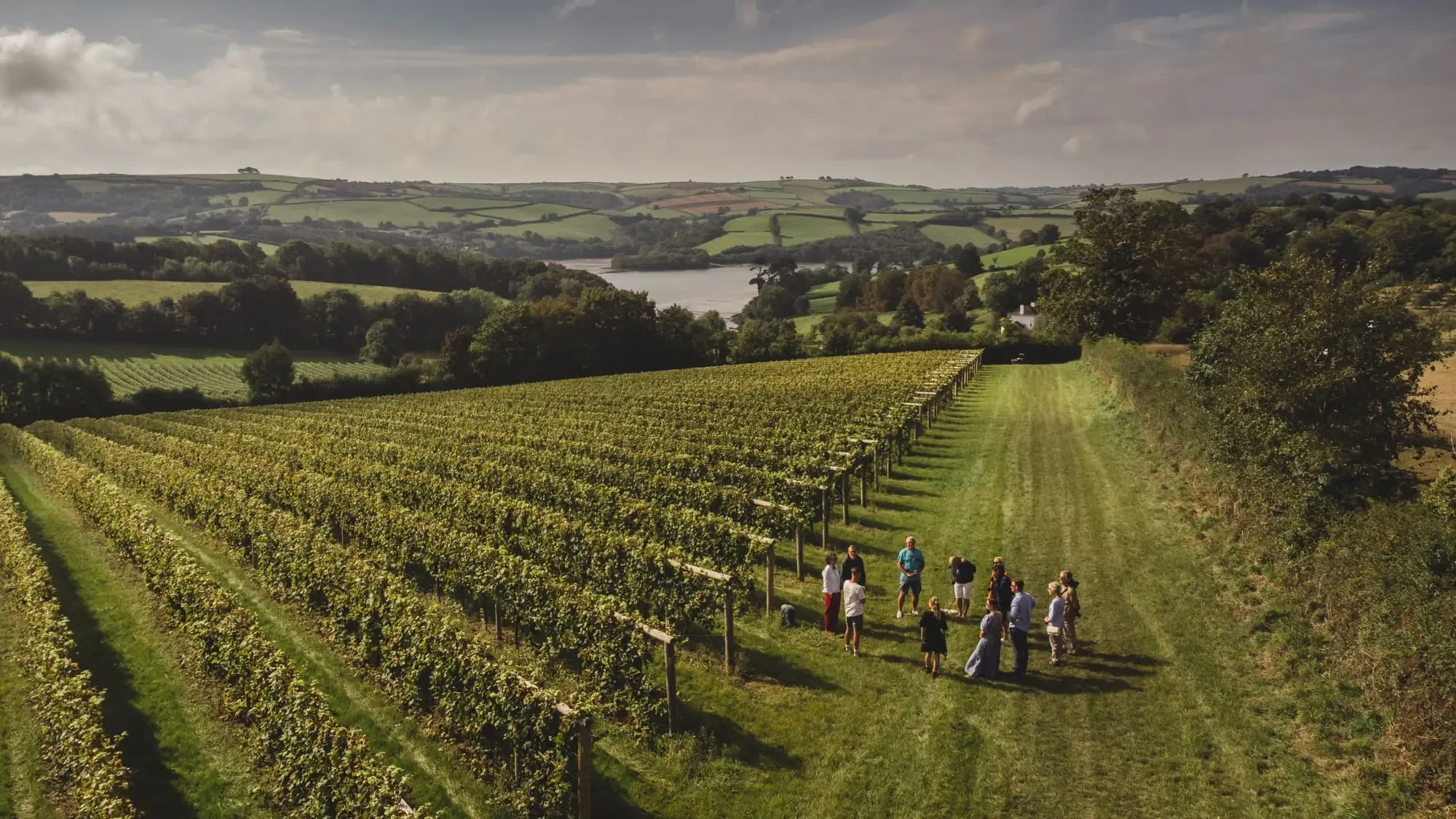 DJI_0128.webp
