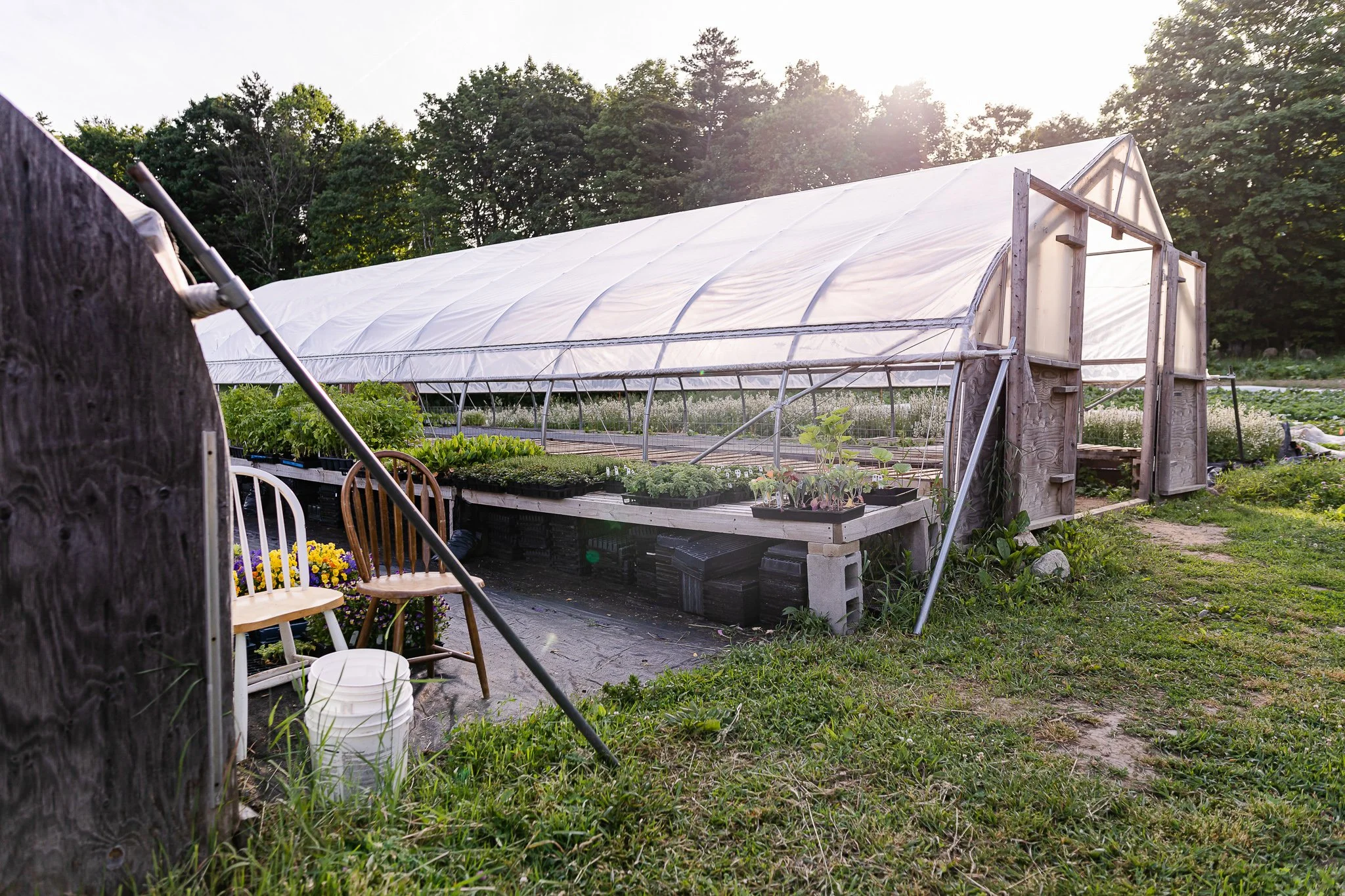 00002Stout Oak Farm Brentwood NH Brand Photography.jpg