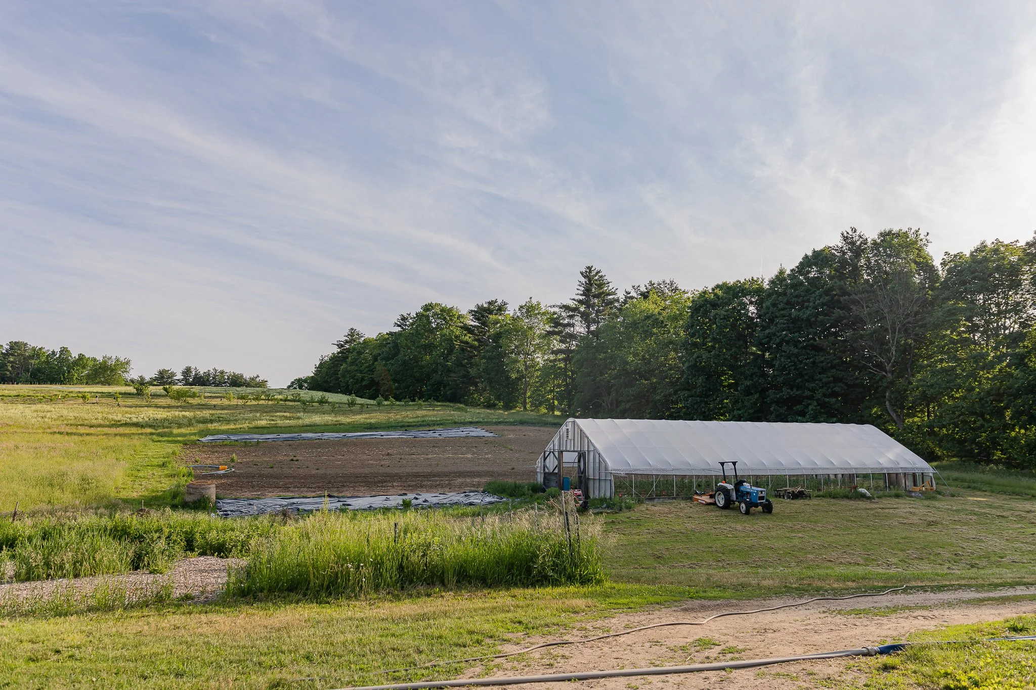 00005Stout Oak Farm Brentwood NH Brand Photography.jpg
