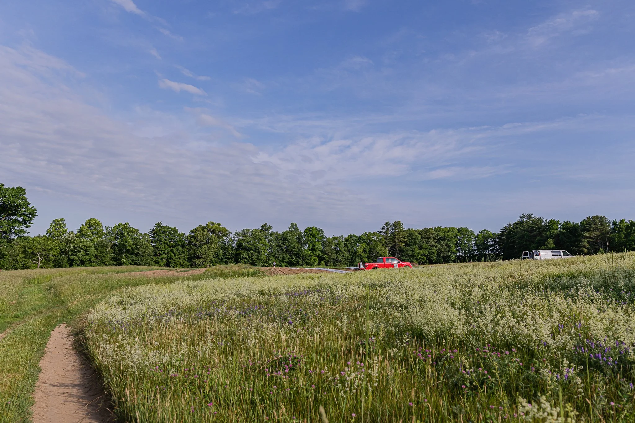 00014Stout Oak Farm Brentwood NH Brand Photography.jpg
