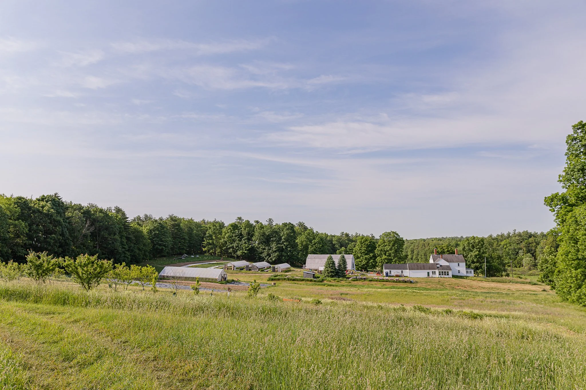 00029Stout Oak Farm Brentwood NH Brand Photography.jpg