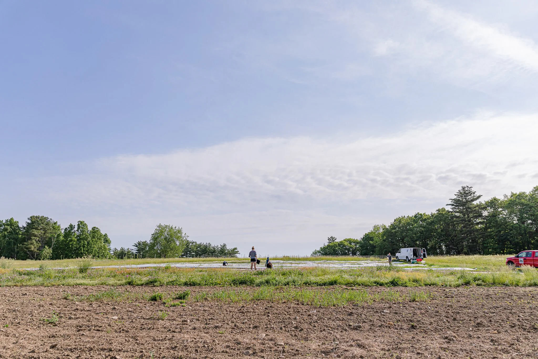 00030Stout Oak Farm Brentwood NH Brand Photography.jpg