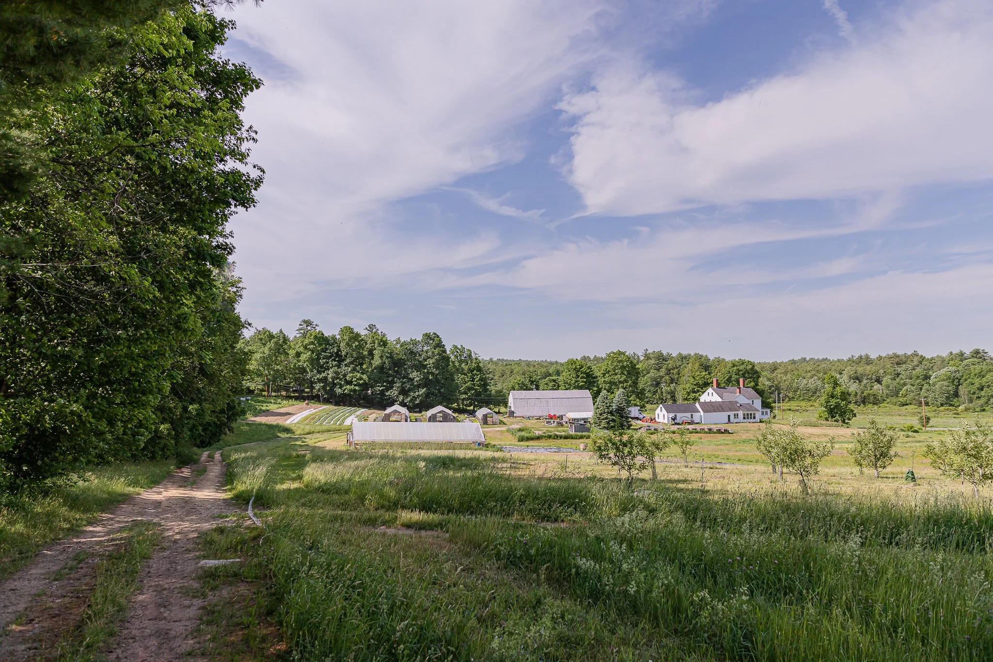 00041Stout Oak Farm Brentwood NH Brand Photography.jpg