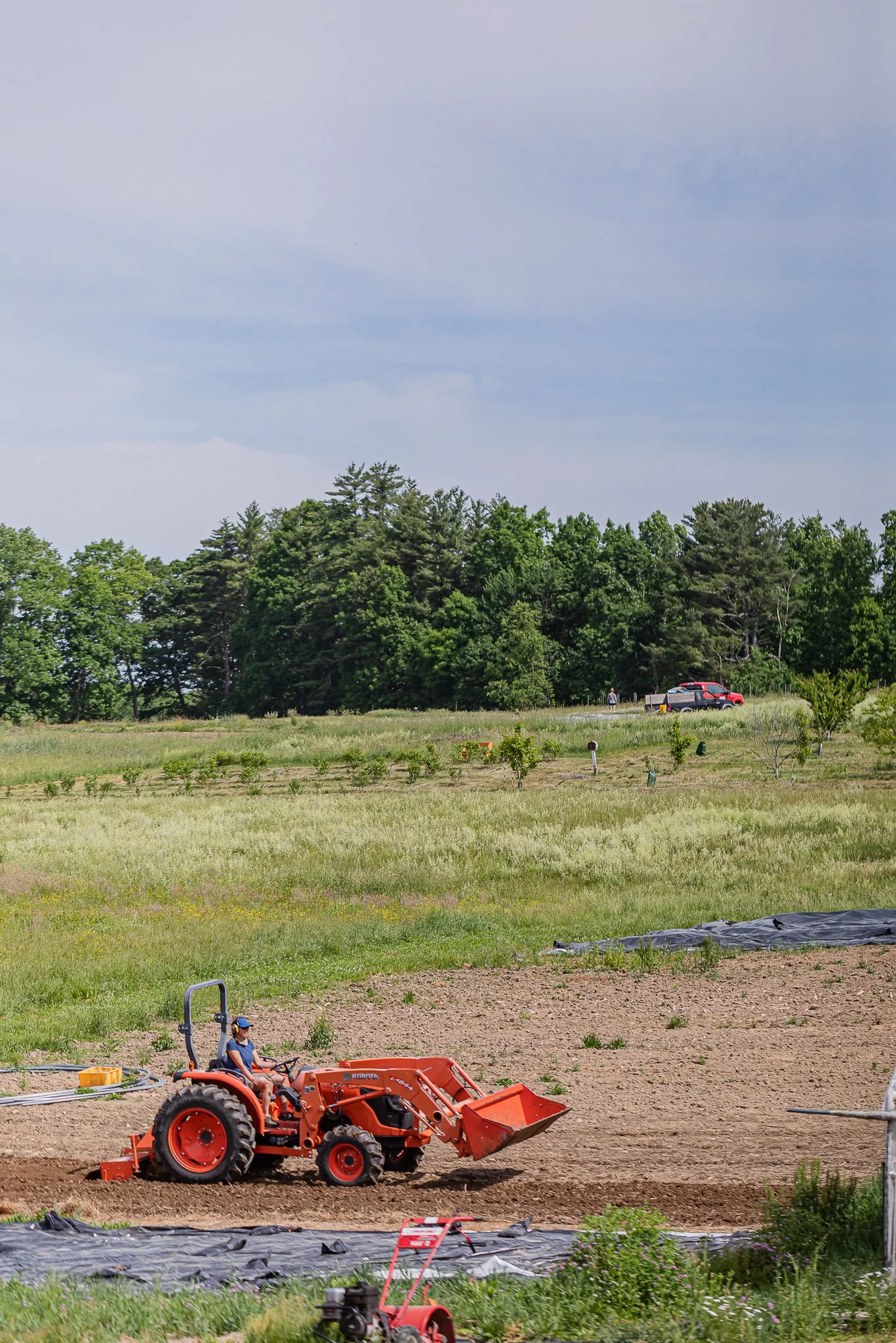 00050Stout Oak Farm Brentwood NH Brand Photography.jpg