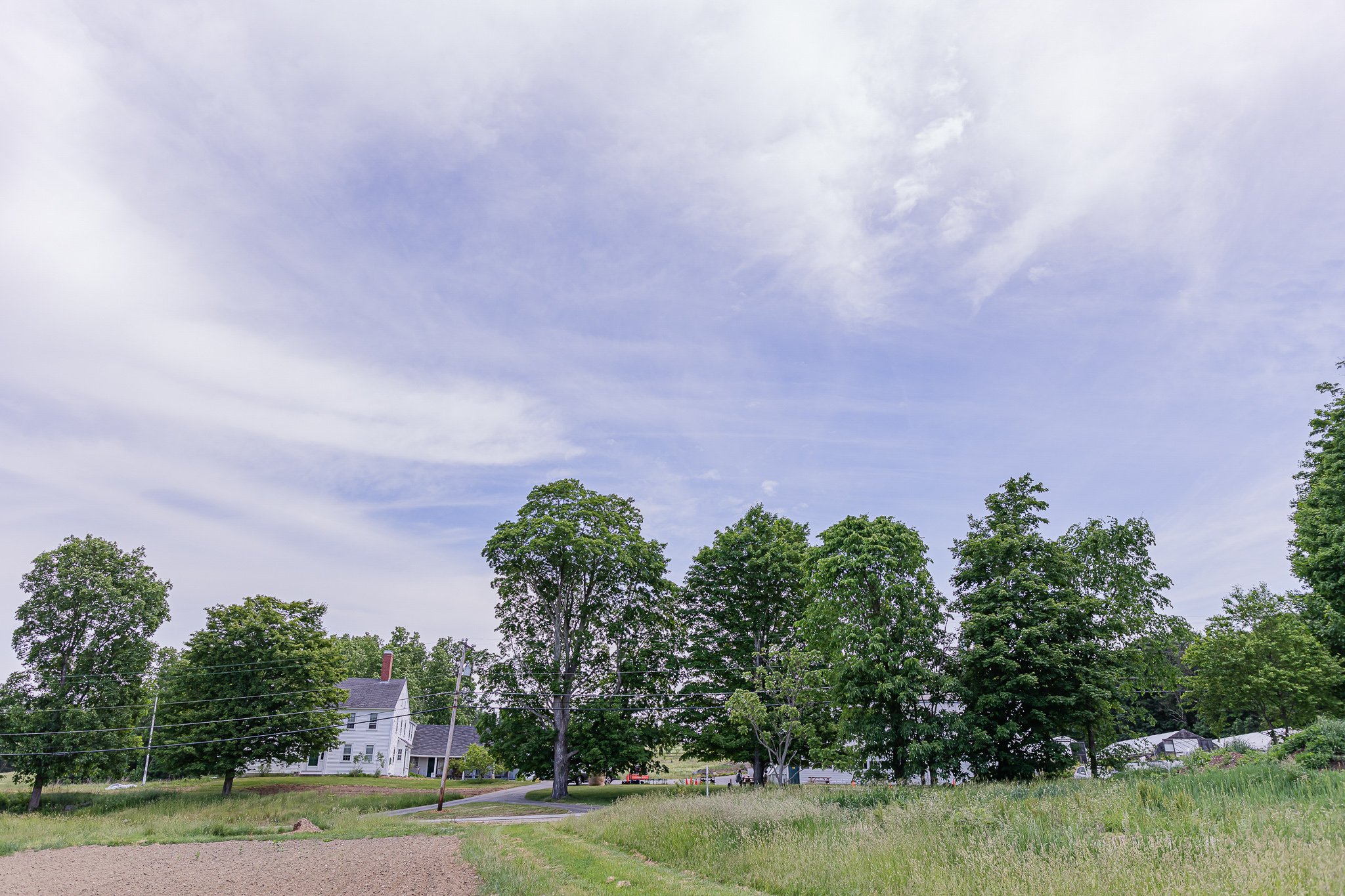 00058Stout Oak Farm Brentwood NH Brand Photography.jpg