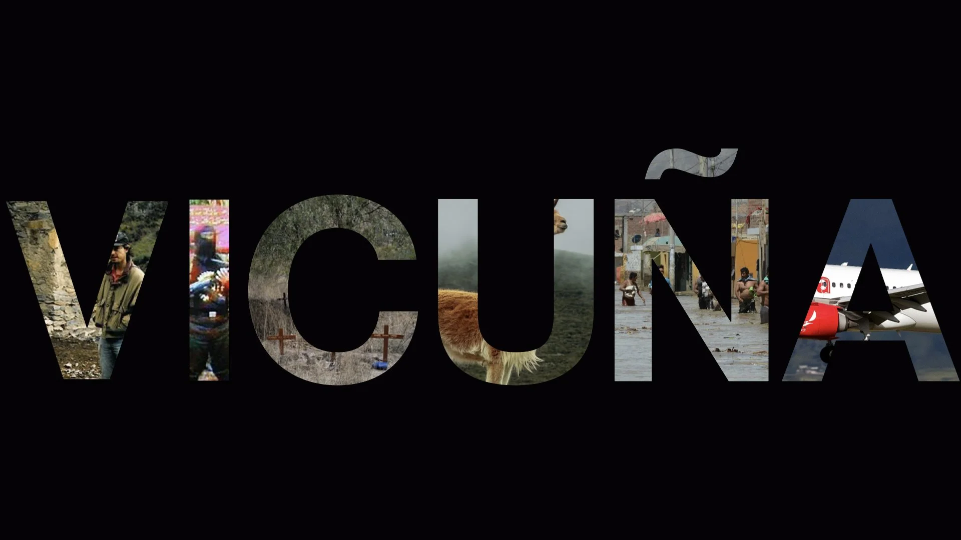 Vicuña_Title_Black.001.jpeg