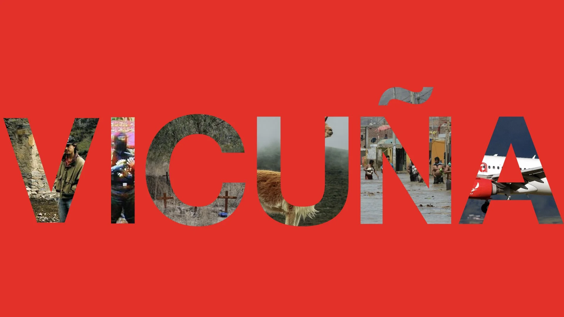 Vicuña_Title_Red.001.jpeg