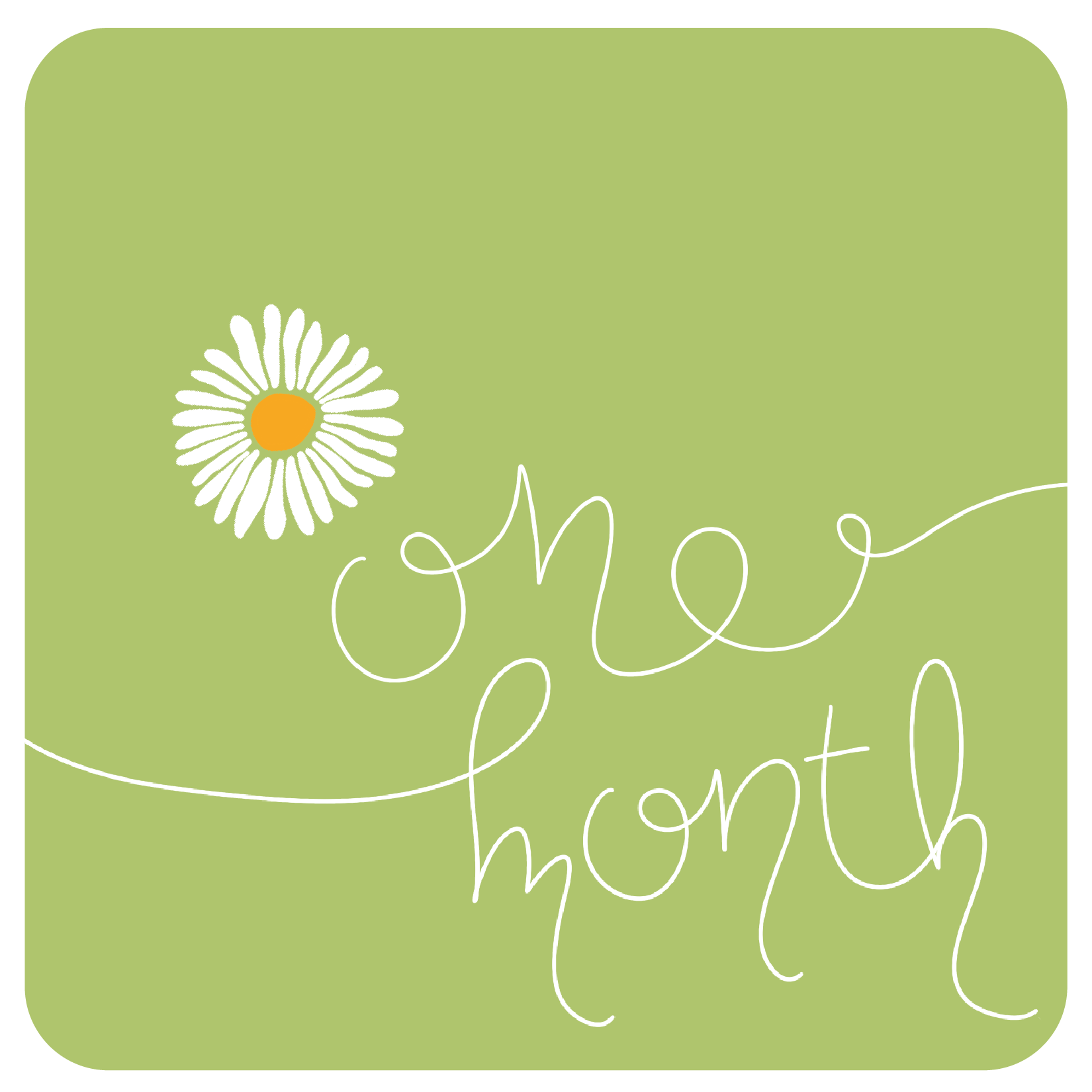 Daisy Milestone Cards
