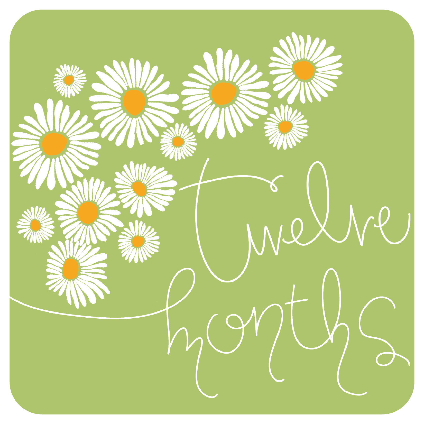 Daisy Milestones-12.png