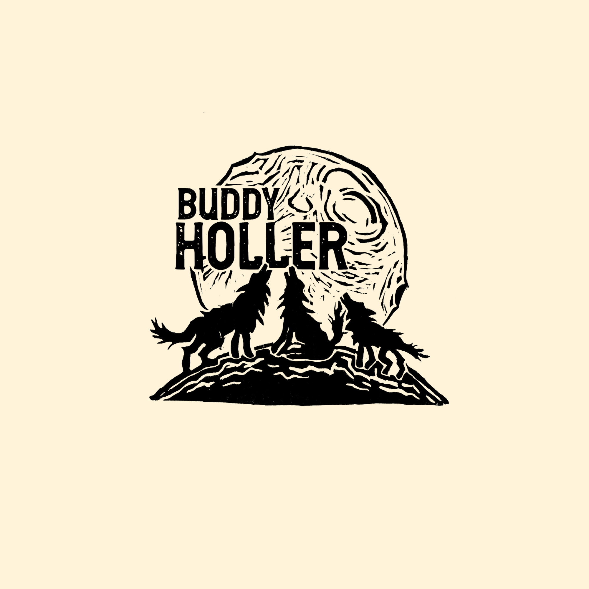 https://www.buddyhollerllc.com/