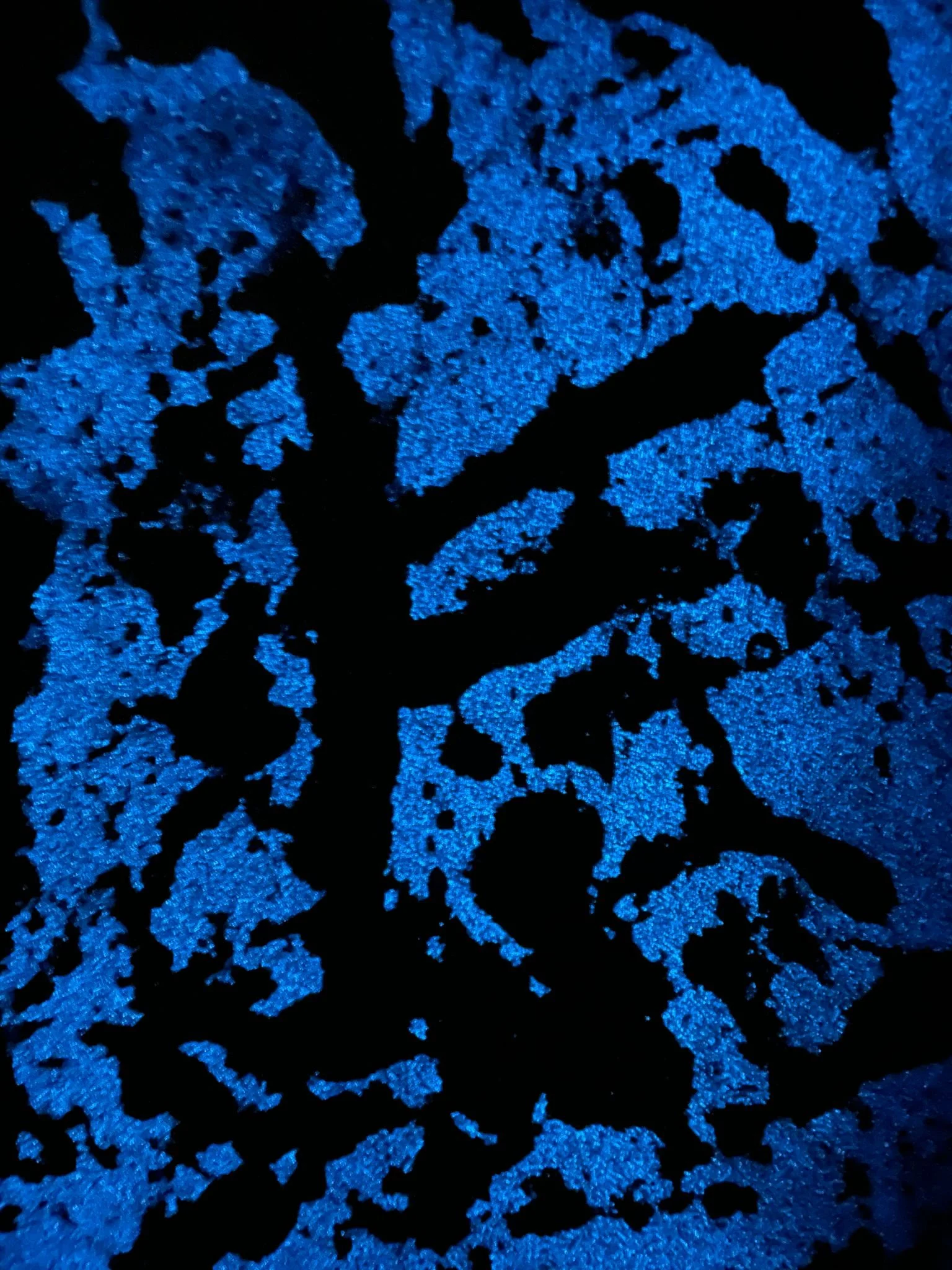 Venetian plaster feature wall South West