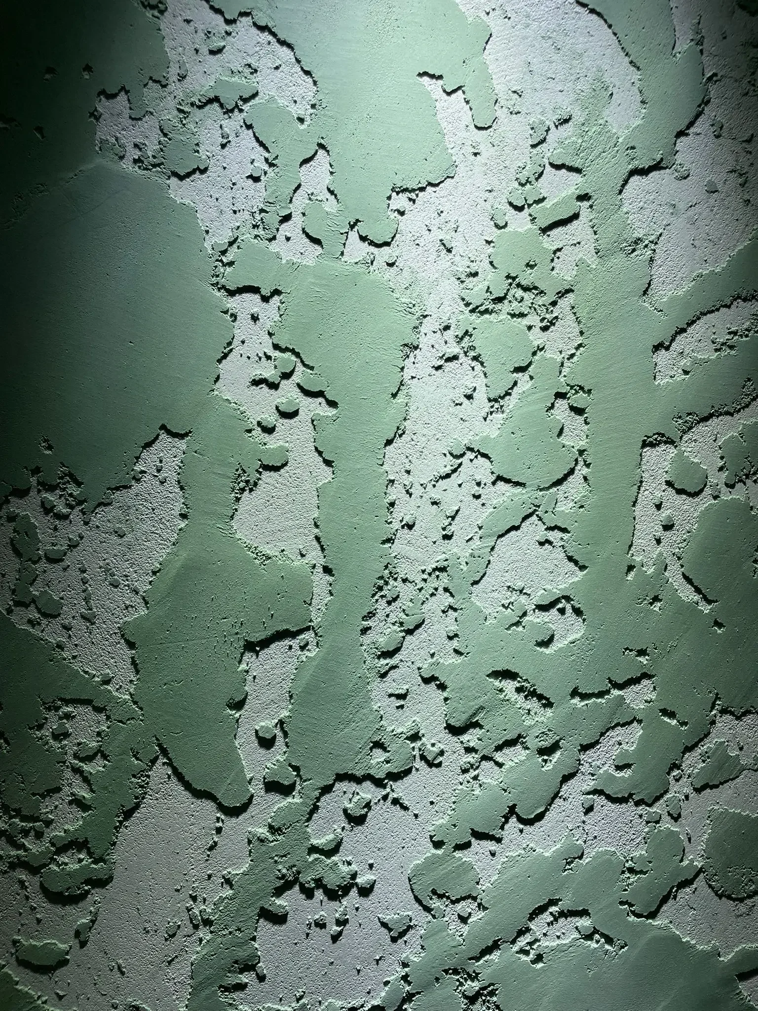 venetian plaster exeter feature wall luxury finish