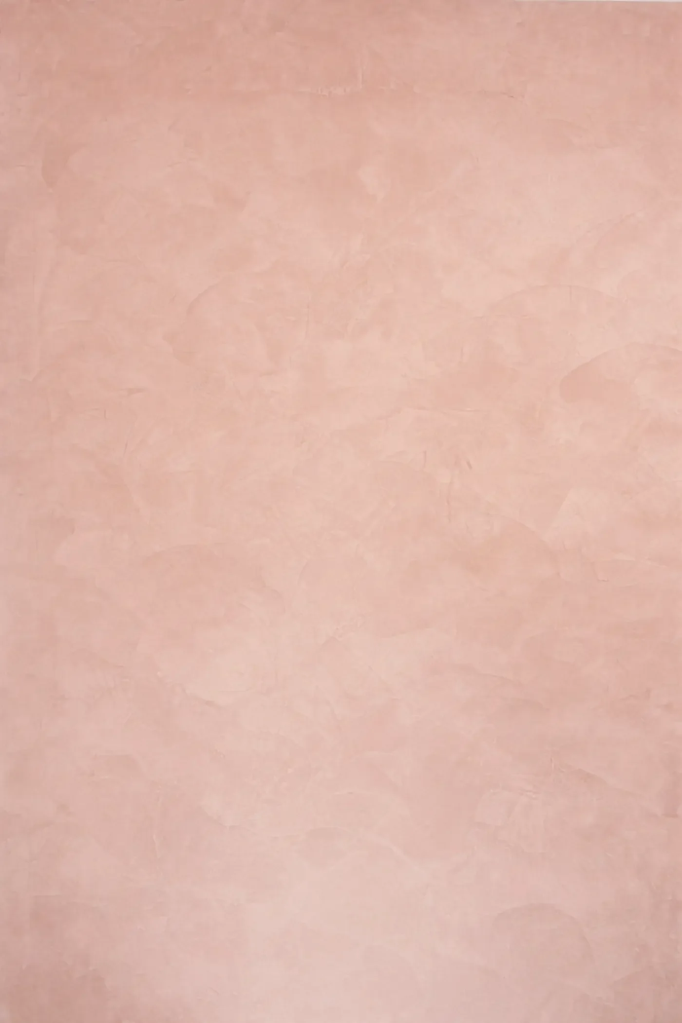 Venetian plaster feature wall Devon