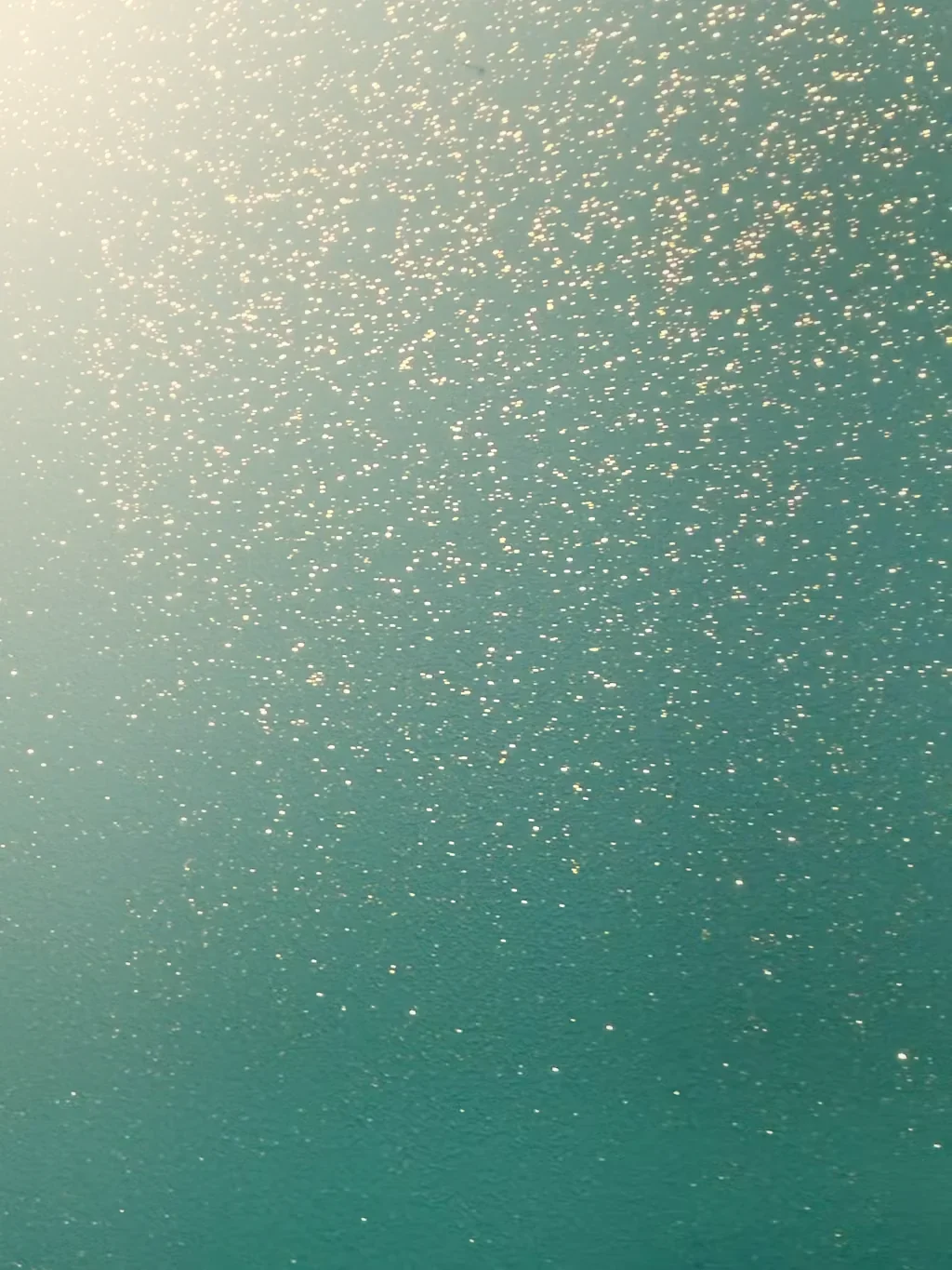 Glitter wall finish Exeter