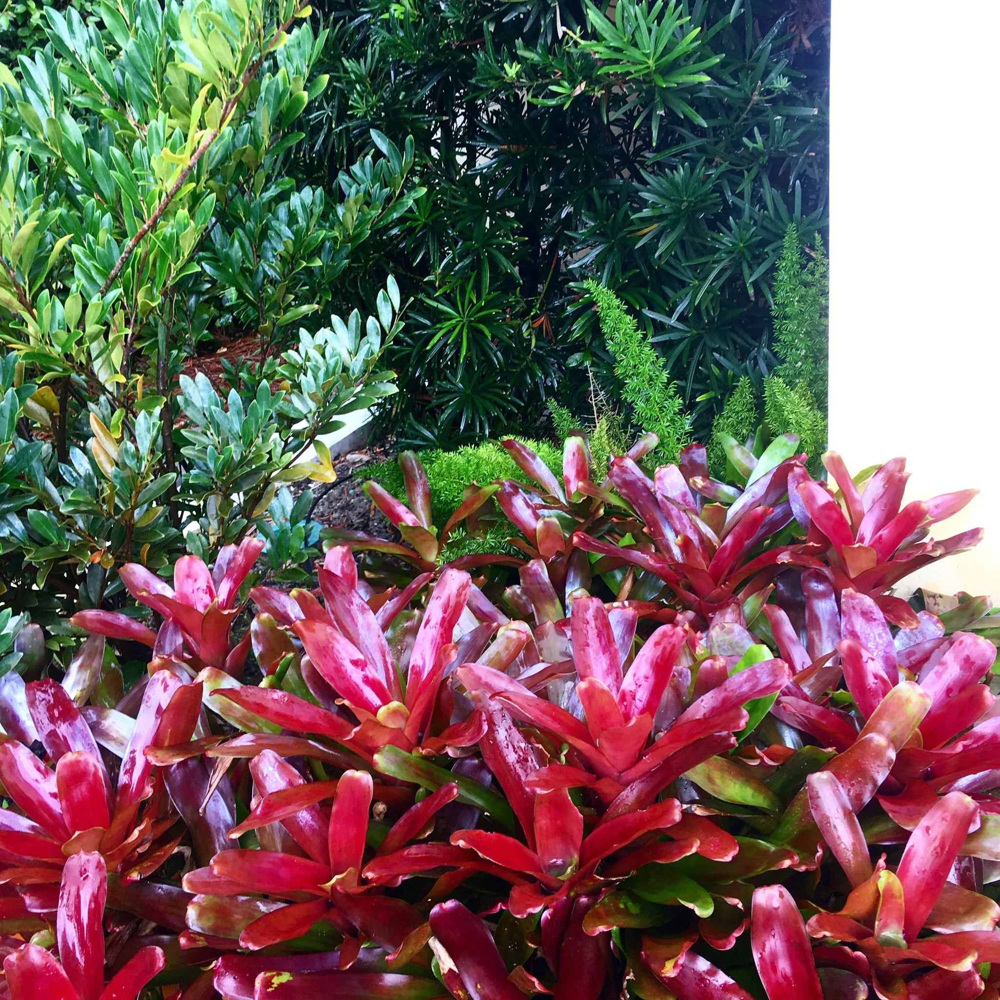 3D8048EA-C5B4-4948-9CB2-FE2855ED821C.JPG