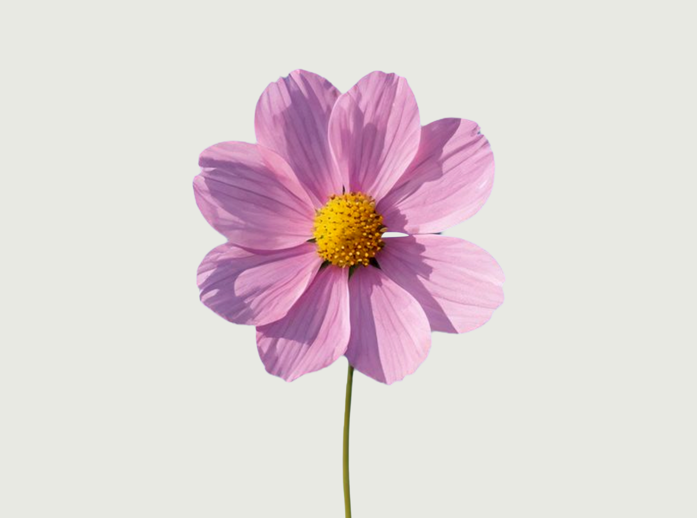 Quickstart Strategy - Spring '26 Special