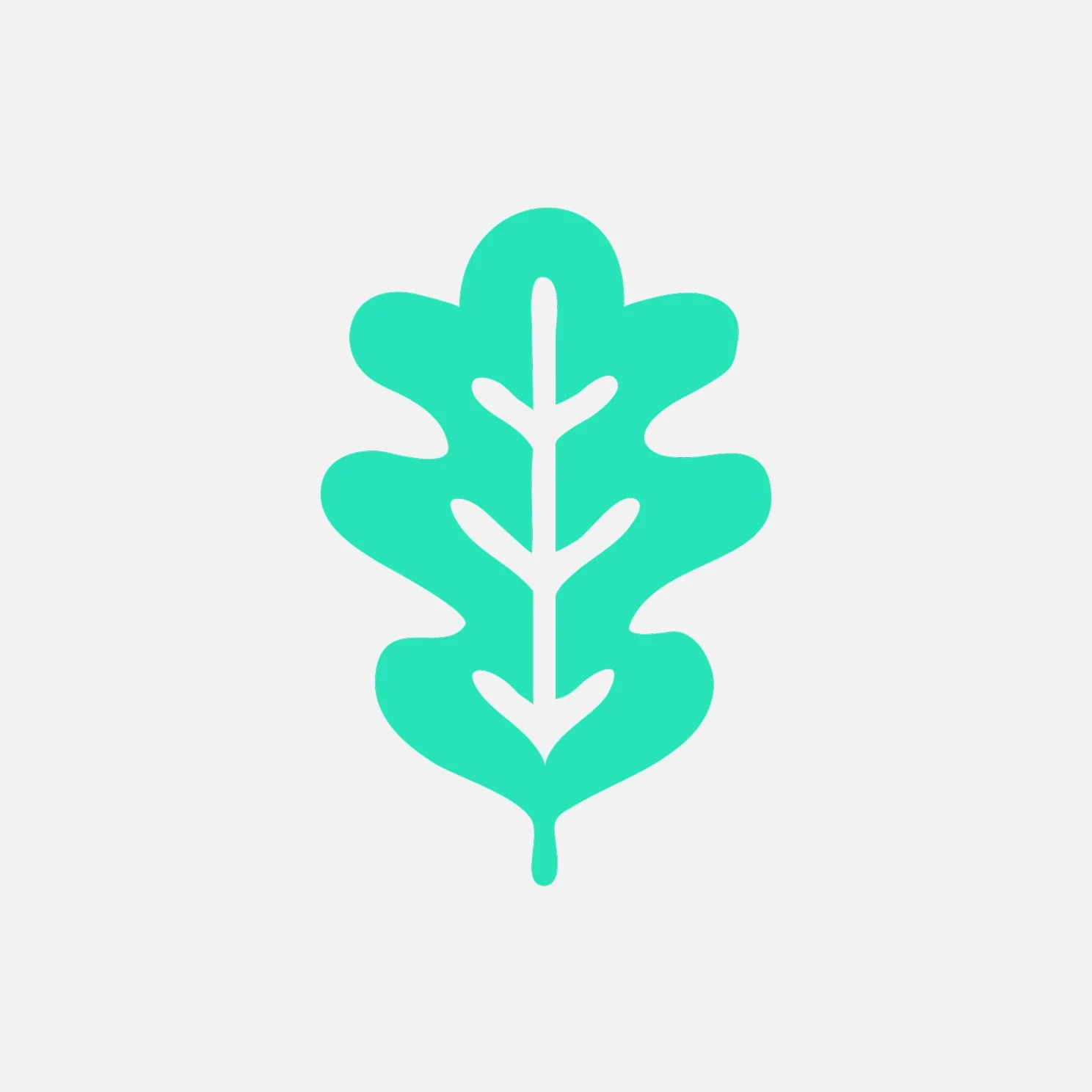 Oak3 - Recruiting firm