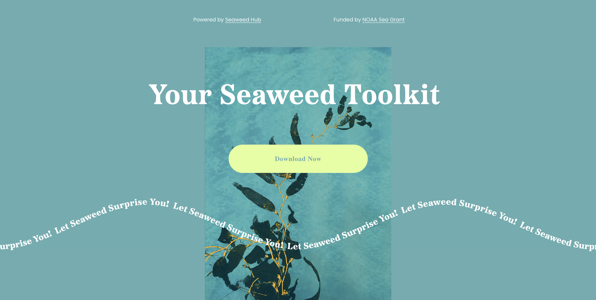 Screen Shot 2023-09-25 at 7.54.29 PM.png