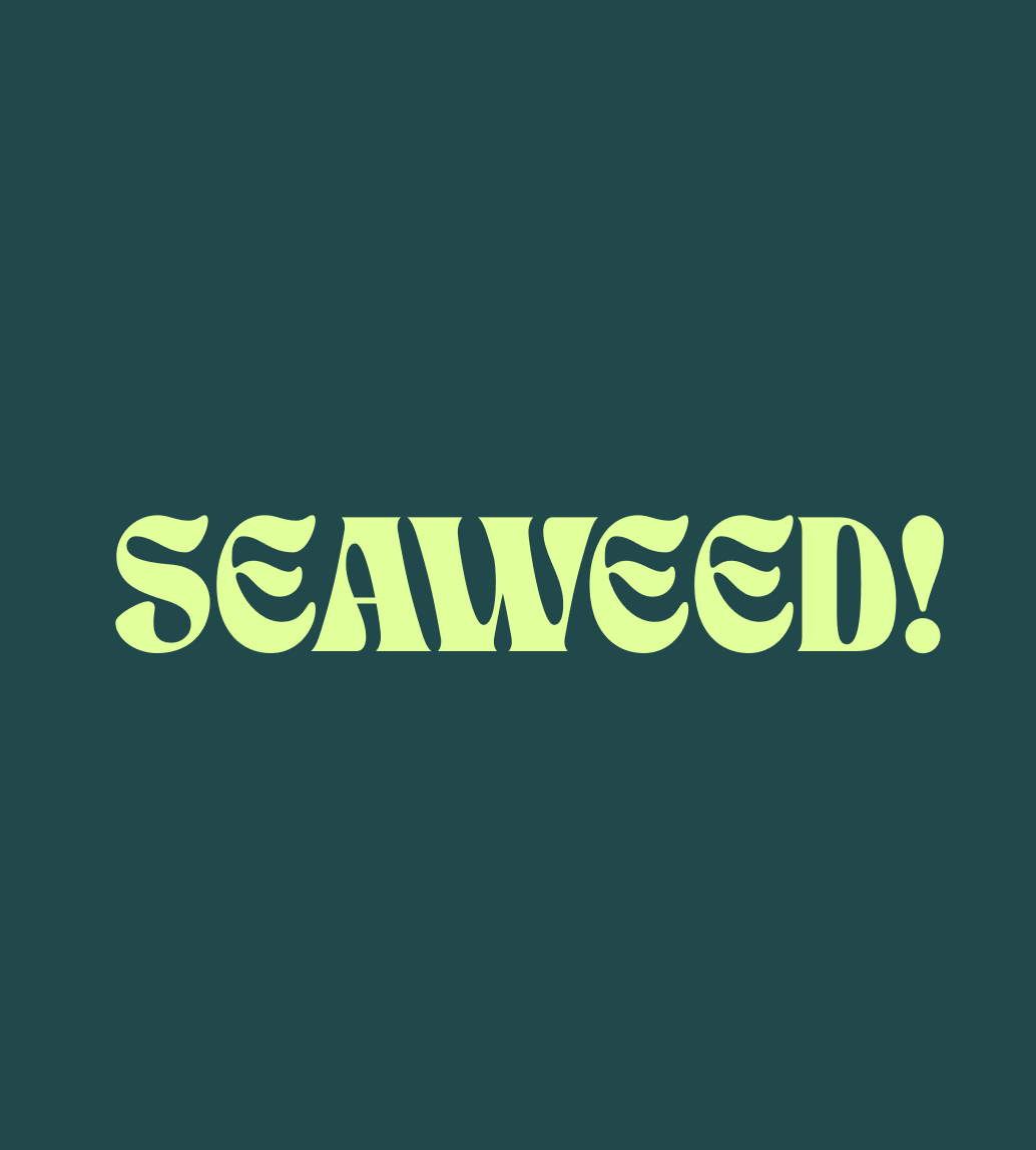 Text on a dark teal background reads 'SEAWED!' in pale yellow, wavy font.