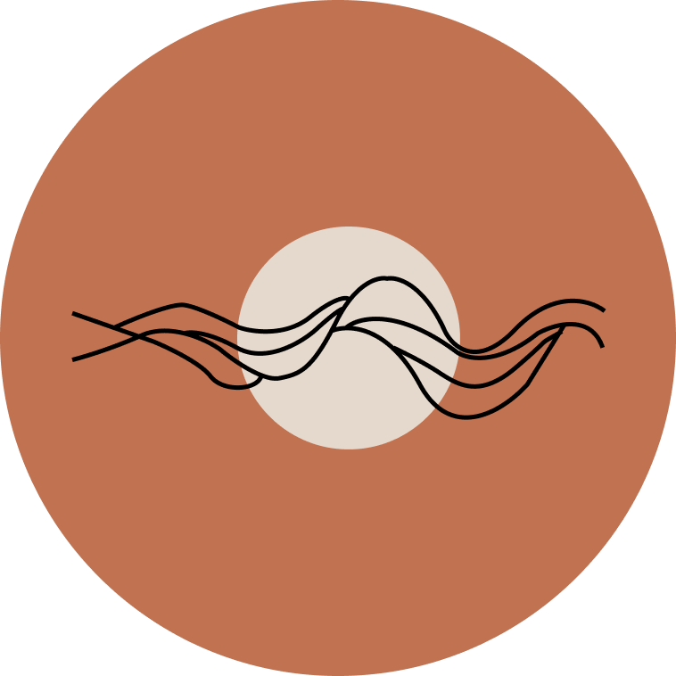 Abstract illustration of a record with a stylized wave pattern in the center.