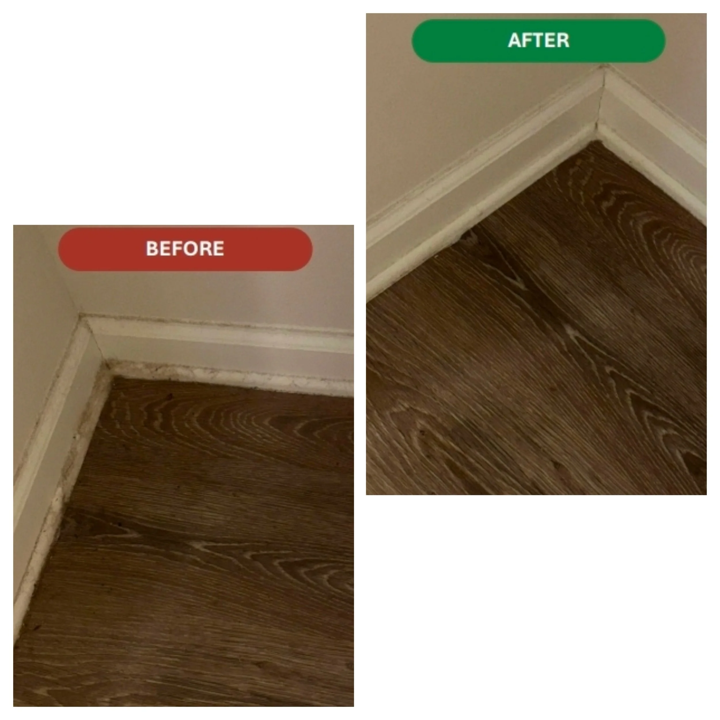 Floor.jpg