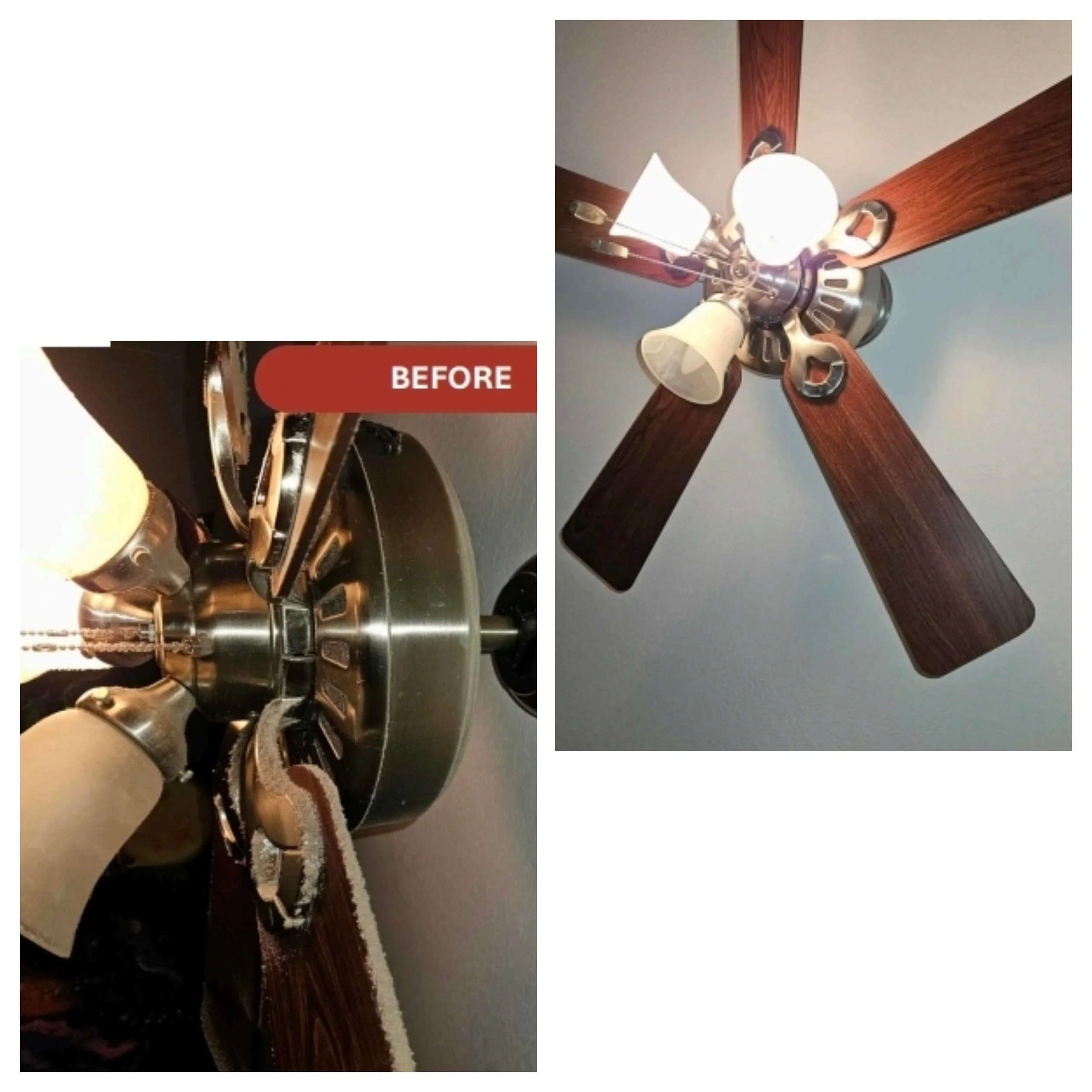 Fan 4.jpg