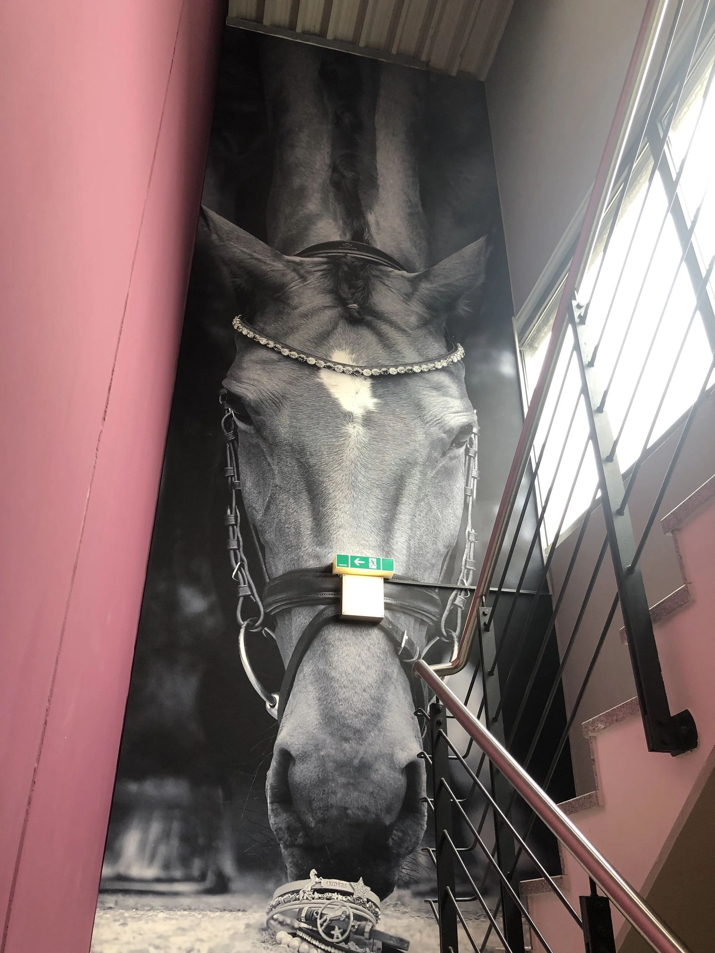 Große Wandmalerei eines Pferdes, das zu einem Treppenhaus gehört, mit Blick nach oben, an einer Wand neben einer Treppe, mit Notausgangsschild und Fenster im Hintergrund.