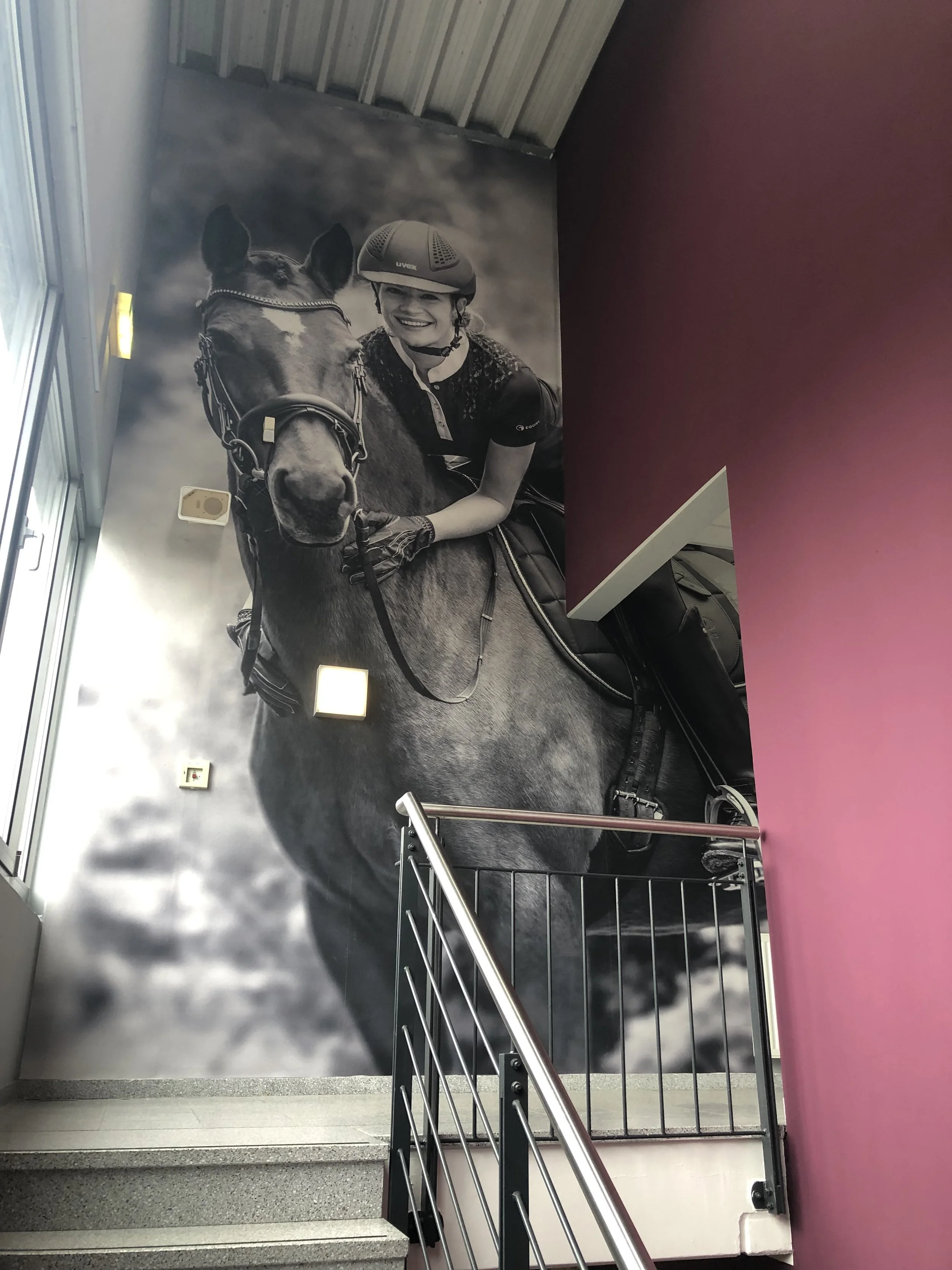 Großes Wandbild einer lachenden Reiterin mit Helm auf einem Pferd, in einem Treppenhaus mit pinker und grauer Wand.
