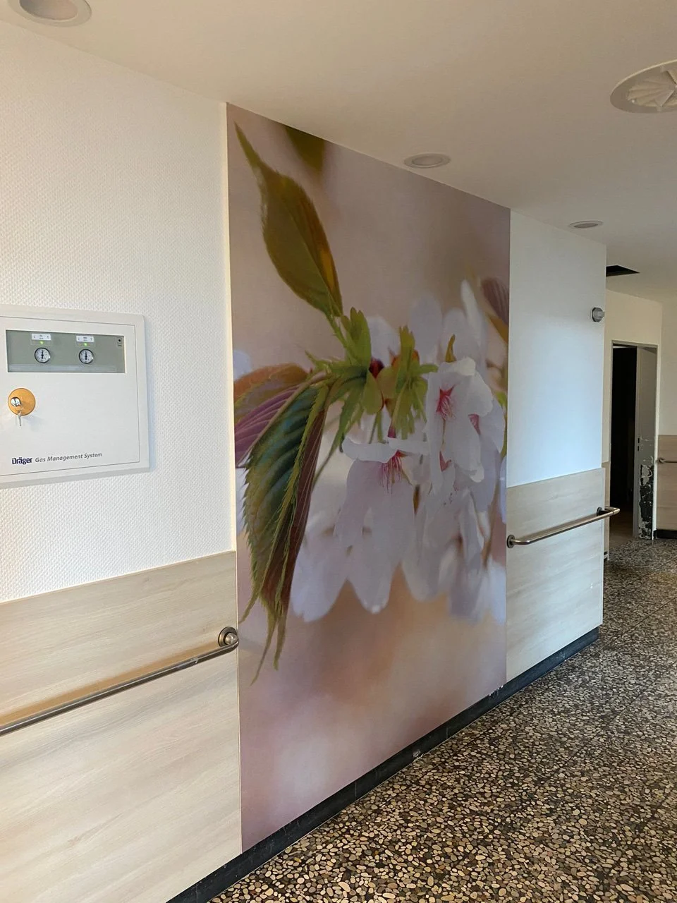 Innenaufnahme eines Flurs mit Wandbild von weißen Blüten und grünen Blättern, eine unit an der Wand mit Reglern, Polsterboden, Handlauf an der Wand.