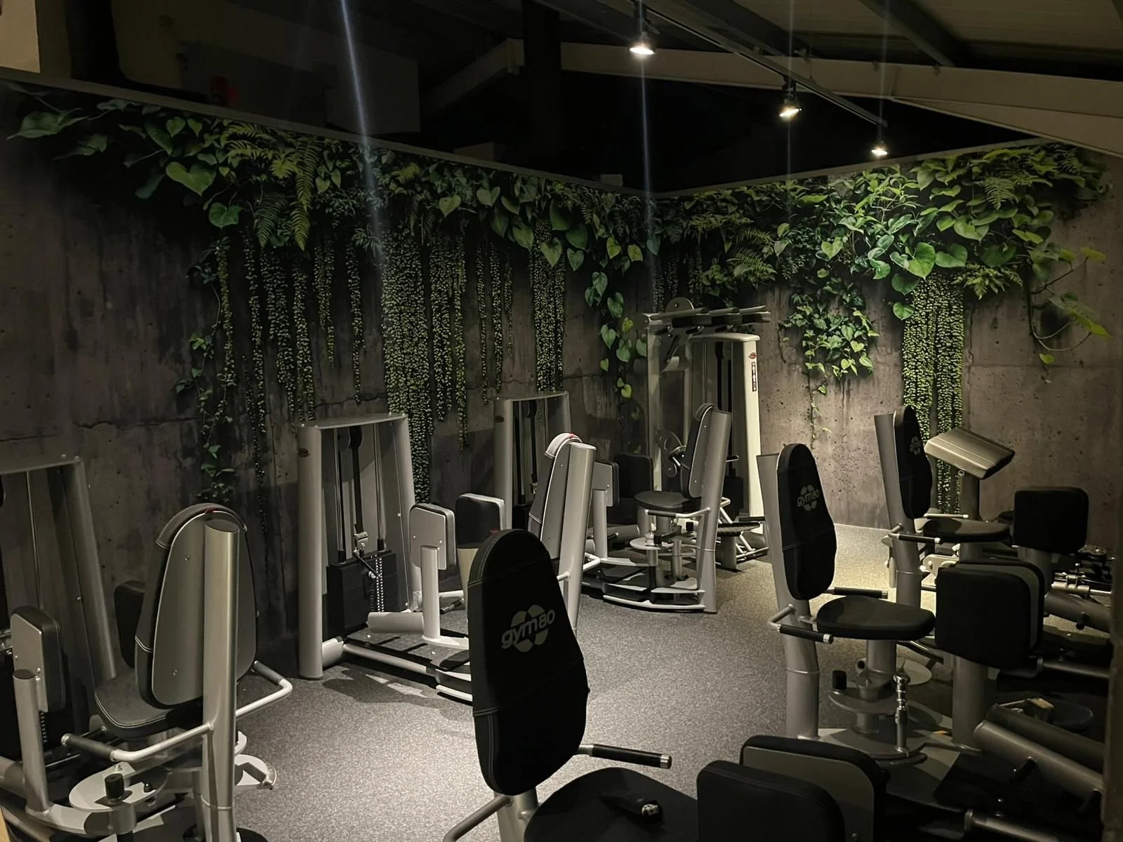 Fitnessstudio mit Fitnessgeräten vor einer begrünten Wand aus Pflanzen, Beleuchtung an der Decke