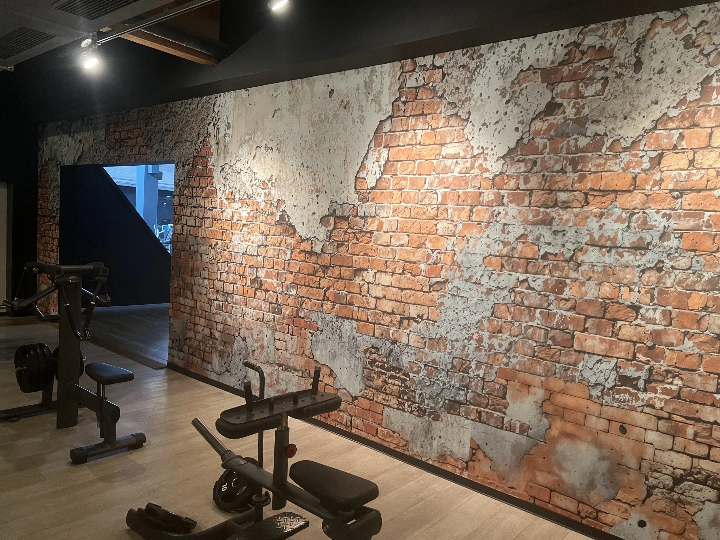 Gymnasium mit einer Wand, die eine bunte Backsteinmauer zeigt, und Trainingsgeräte im Vordergrund.