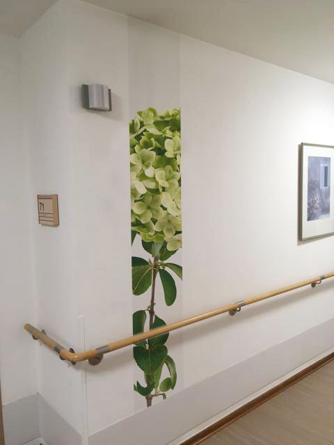 Wand mit Blumendekor in einem Flur, mit Handlauf an der Wand.