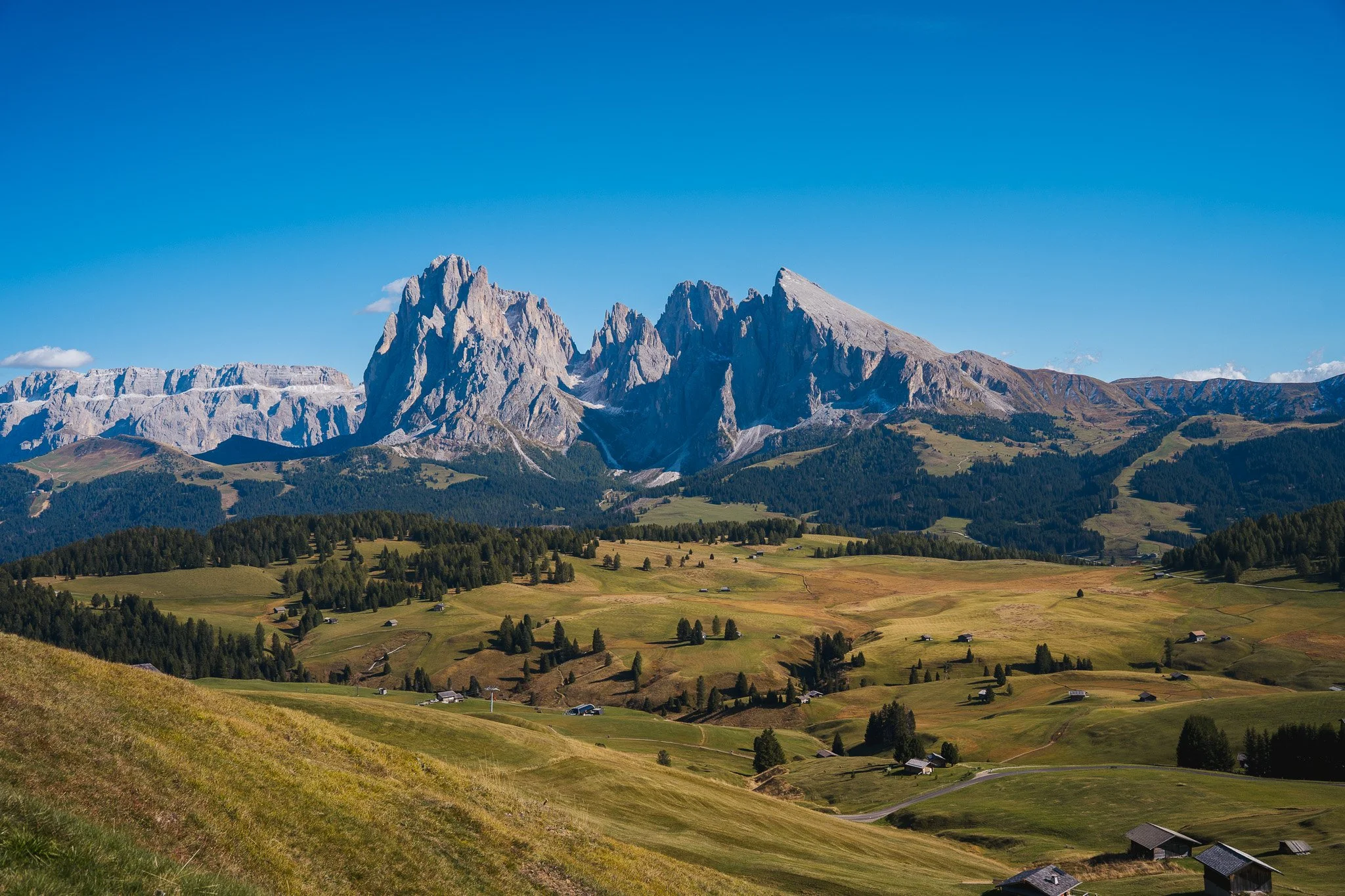 DSC06811-2.jpg