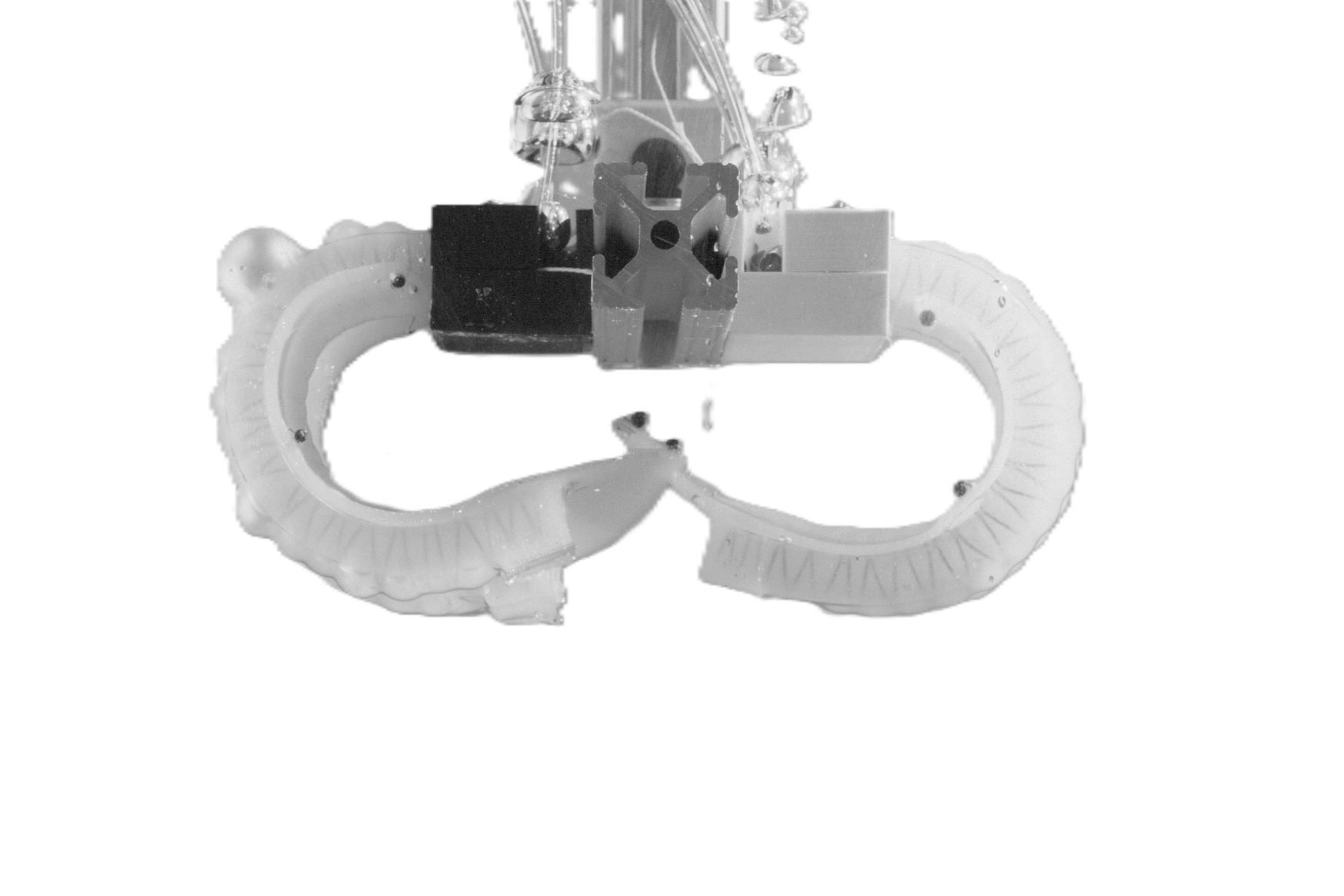 Biomimetic Soft Robot