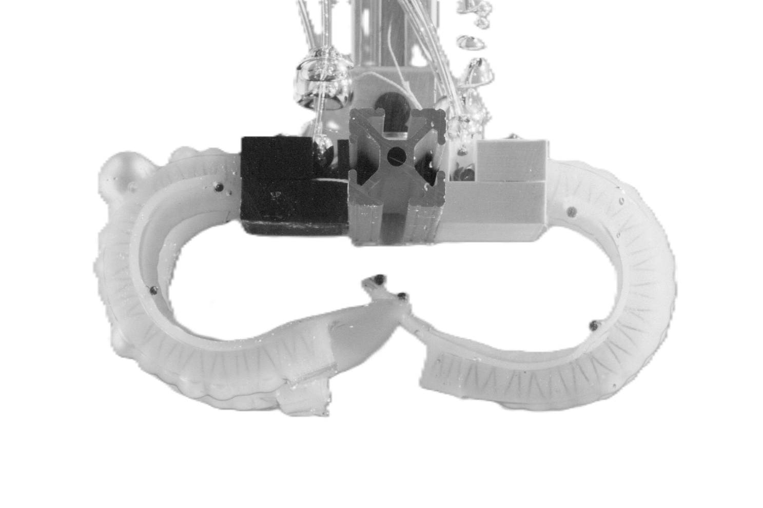 Biomimetic Soft Robot