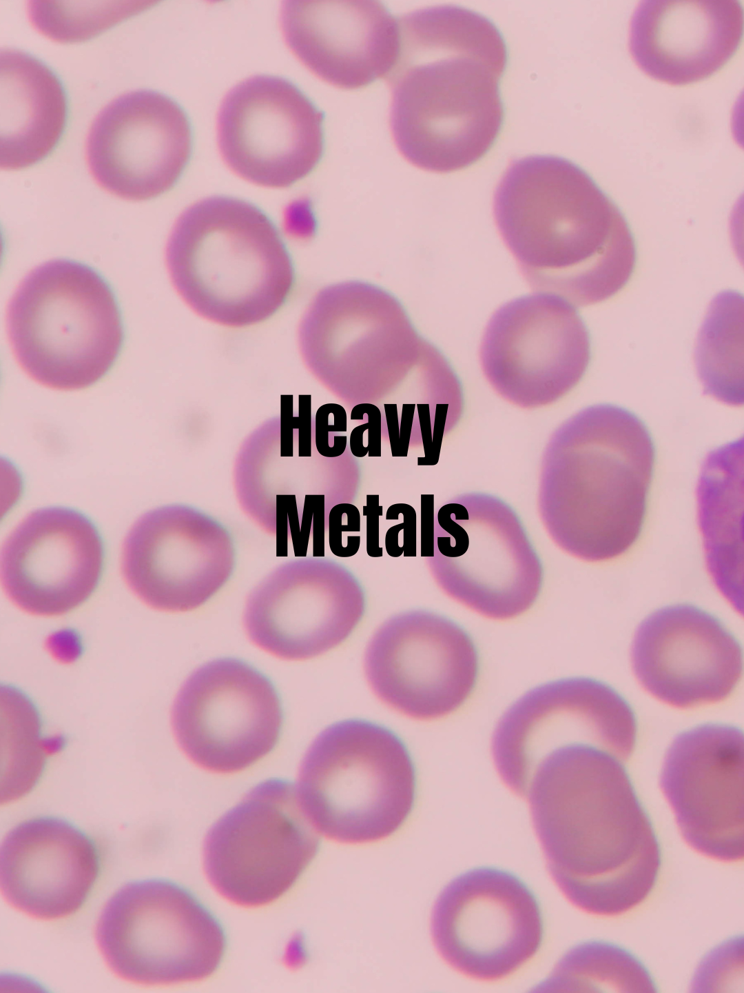 Heavy Metal Panel