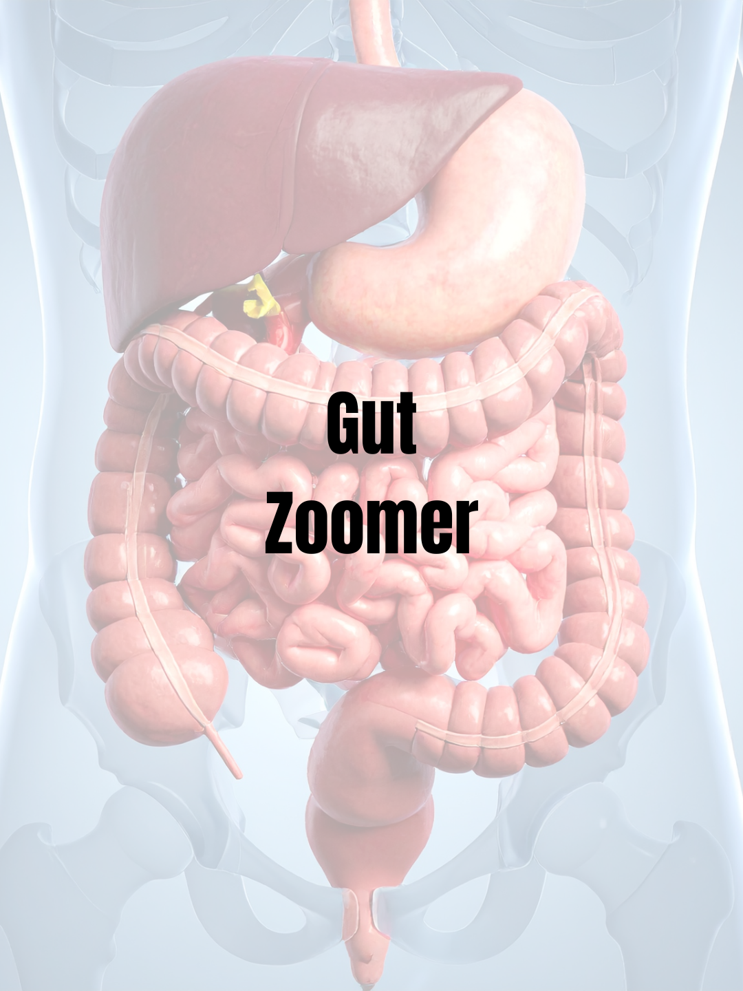 Gut Zoomer
