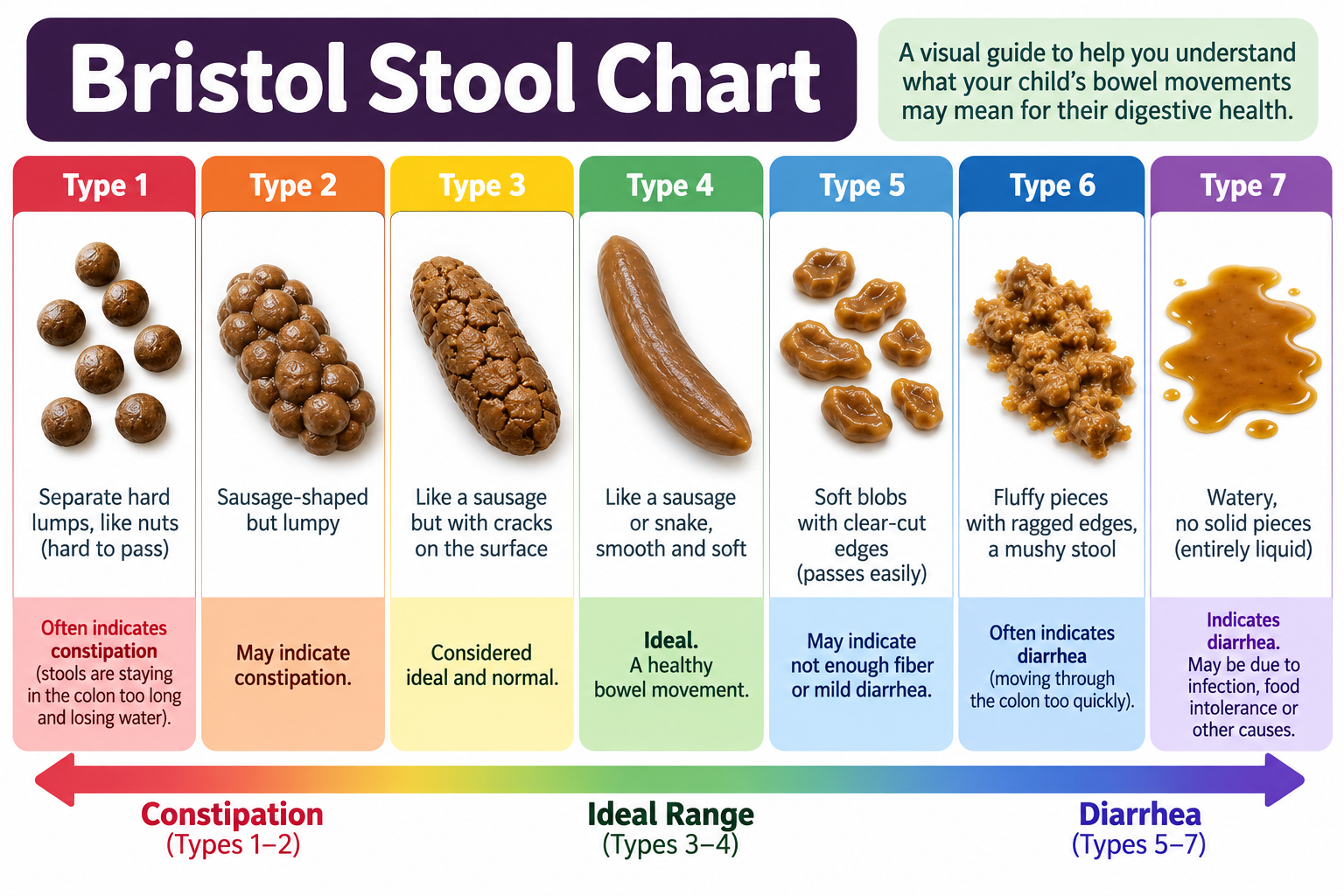 Bristol Stool Chart showing the seven stool types and what they say about gut health