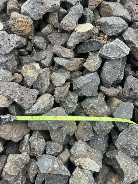 Columbia Ashline Nuggets  2-4 in