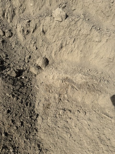 Screened Topsoil