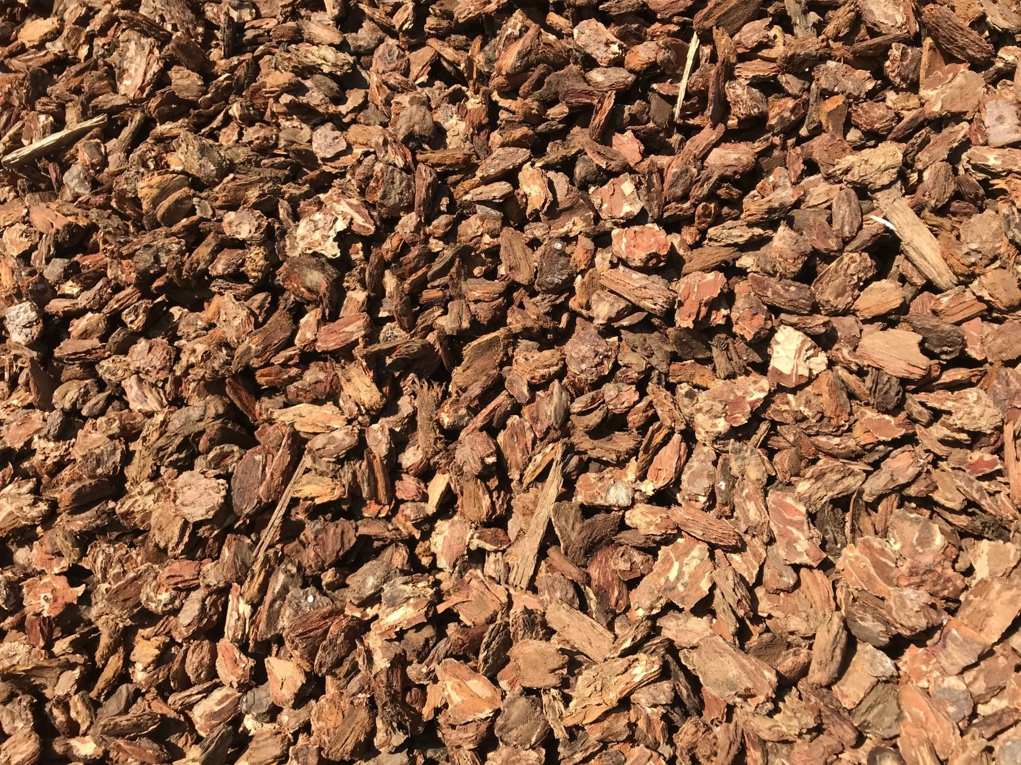 Medium Nugget Bark (1 to 2 in.)